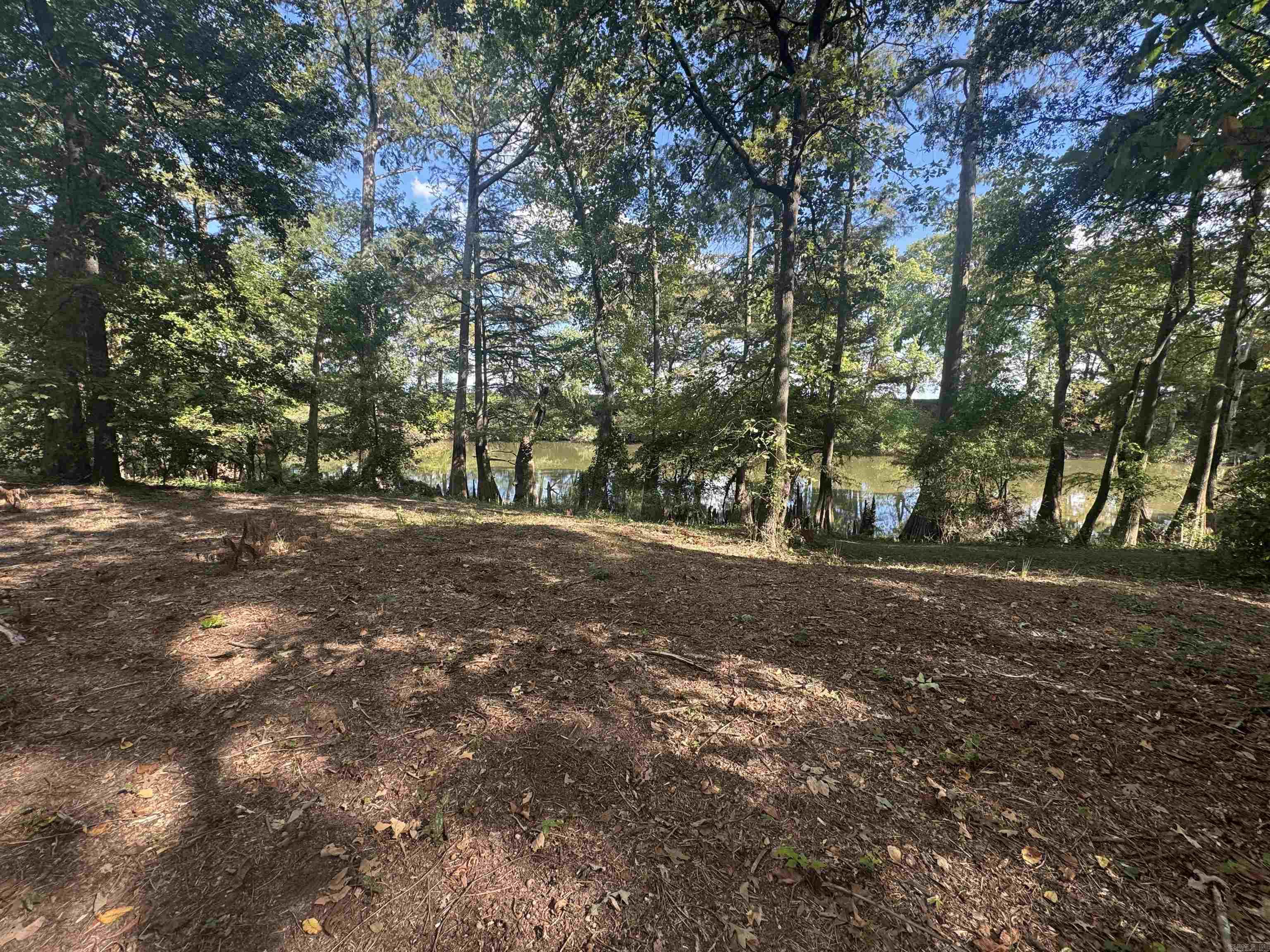881 N 15 Highway Property Photo 8