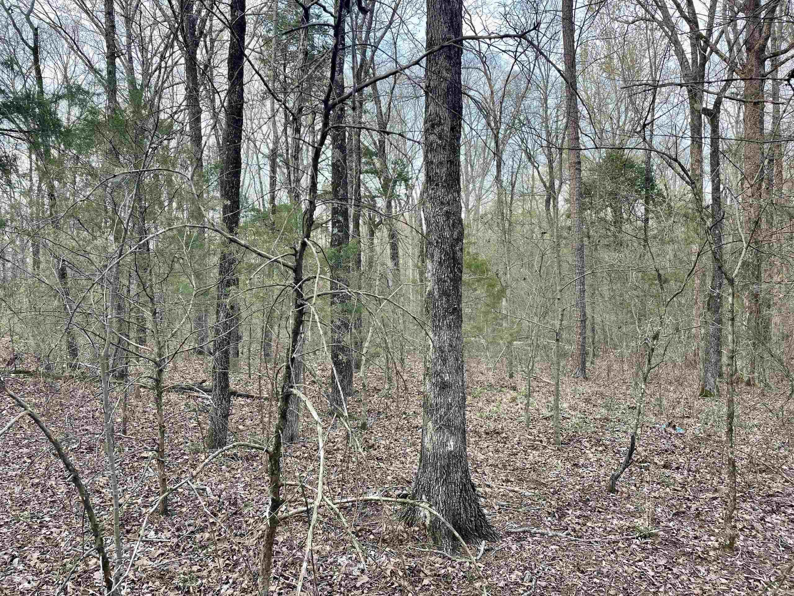 000 Trout Way Property Photo 9