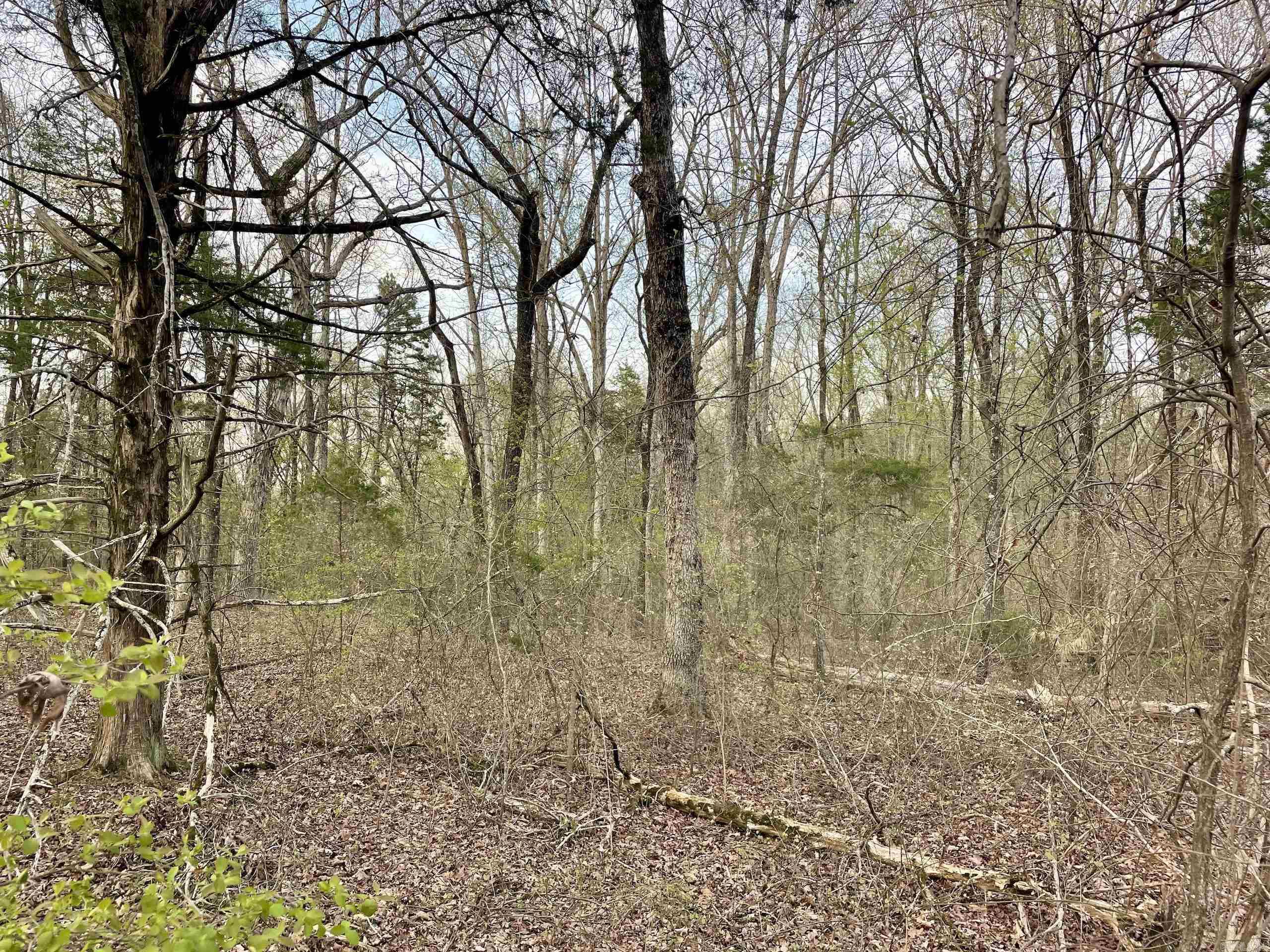 000 Trout Way Property Photo 10