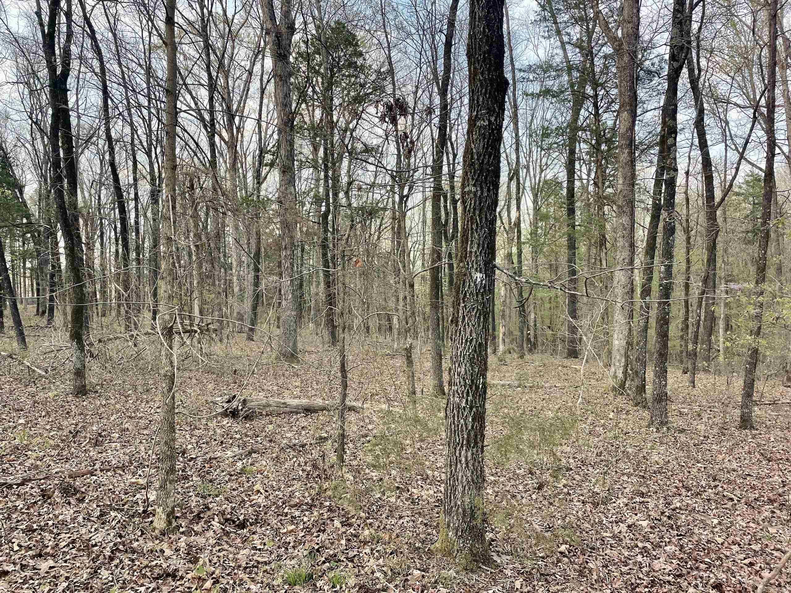 000 Trout Way Property Photo 11