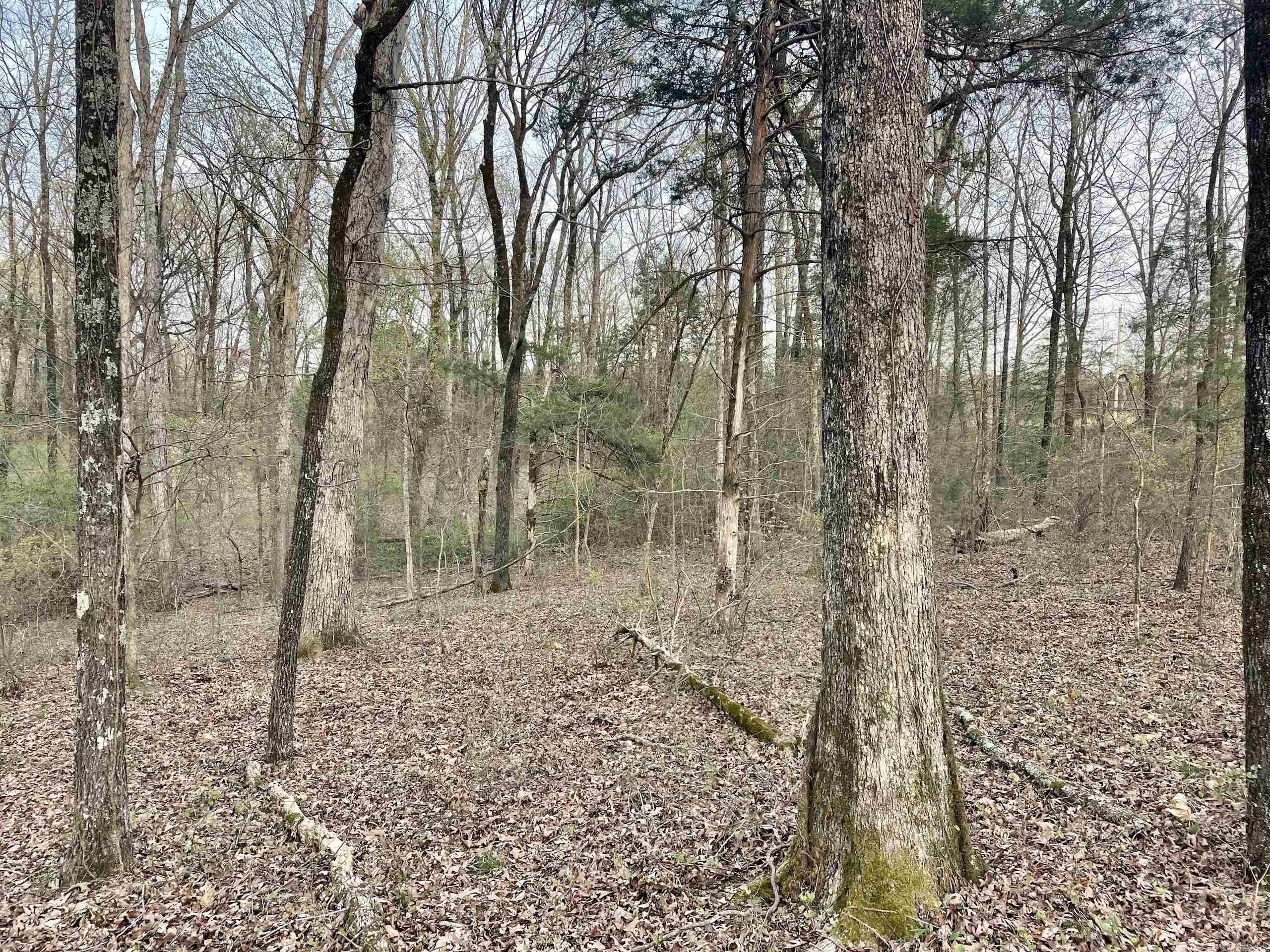 000 Trout Way Property Photo 14