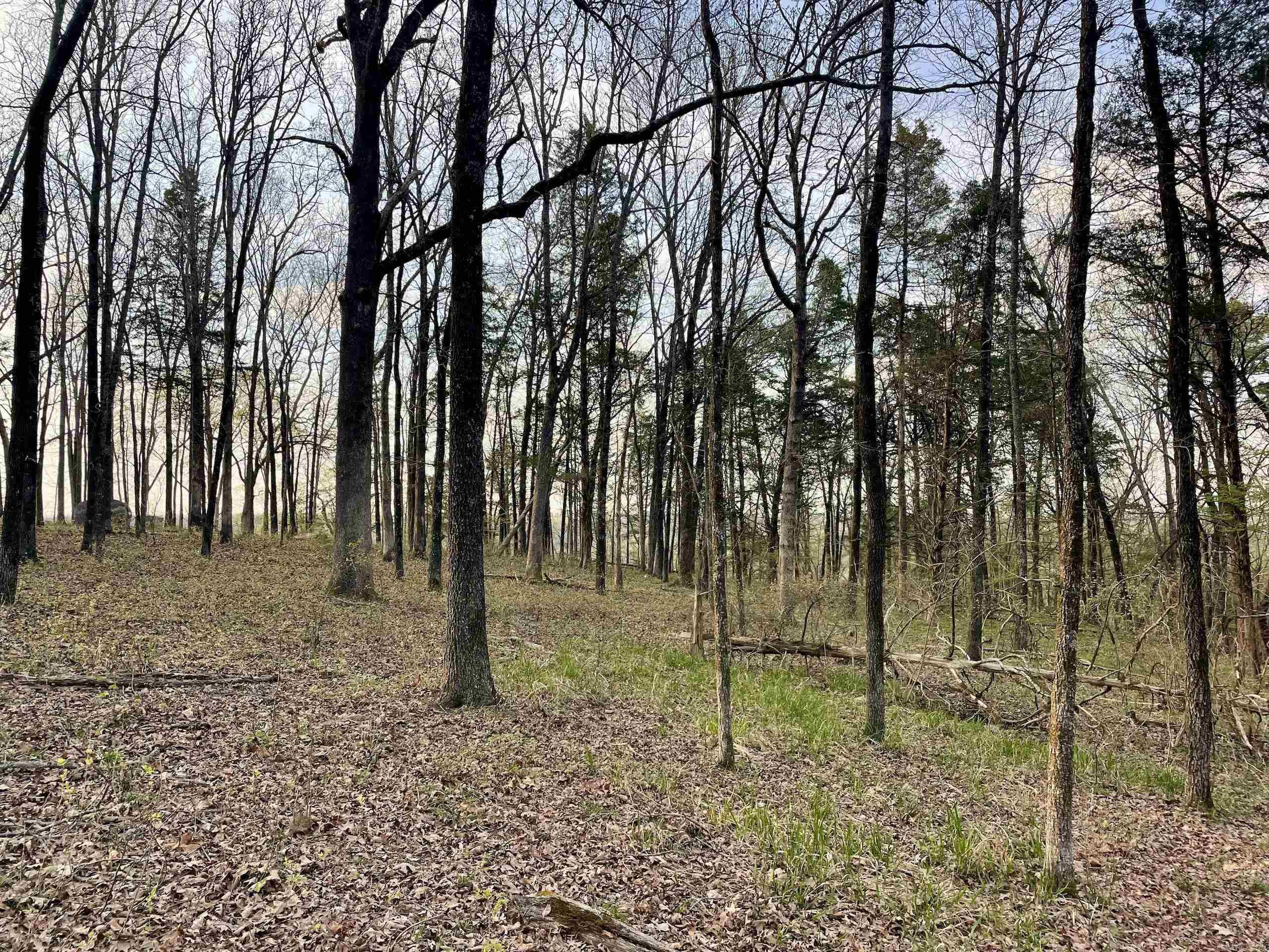 000 Trout Way Property Photo 16
