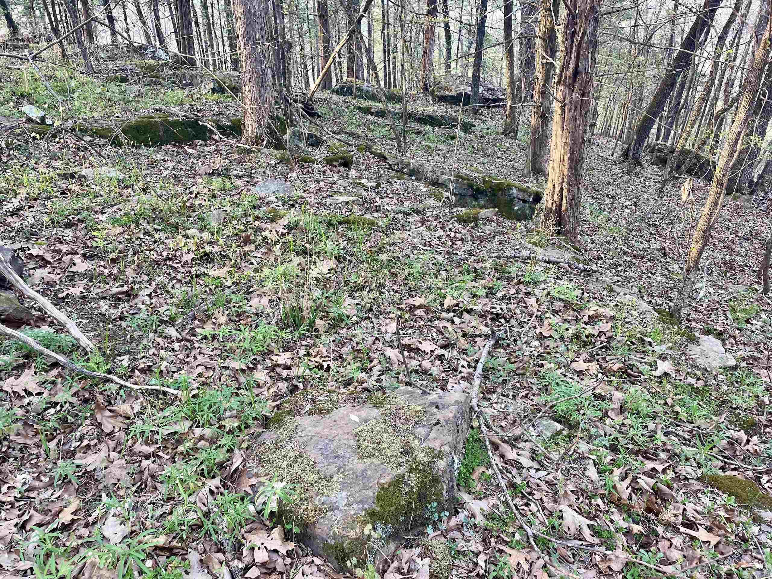 000 Trout Way Property Photo 19
