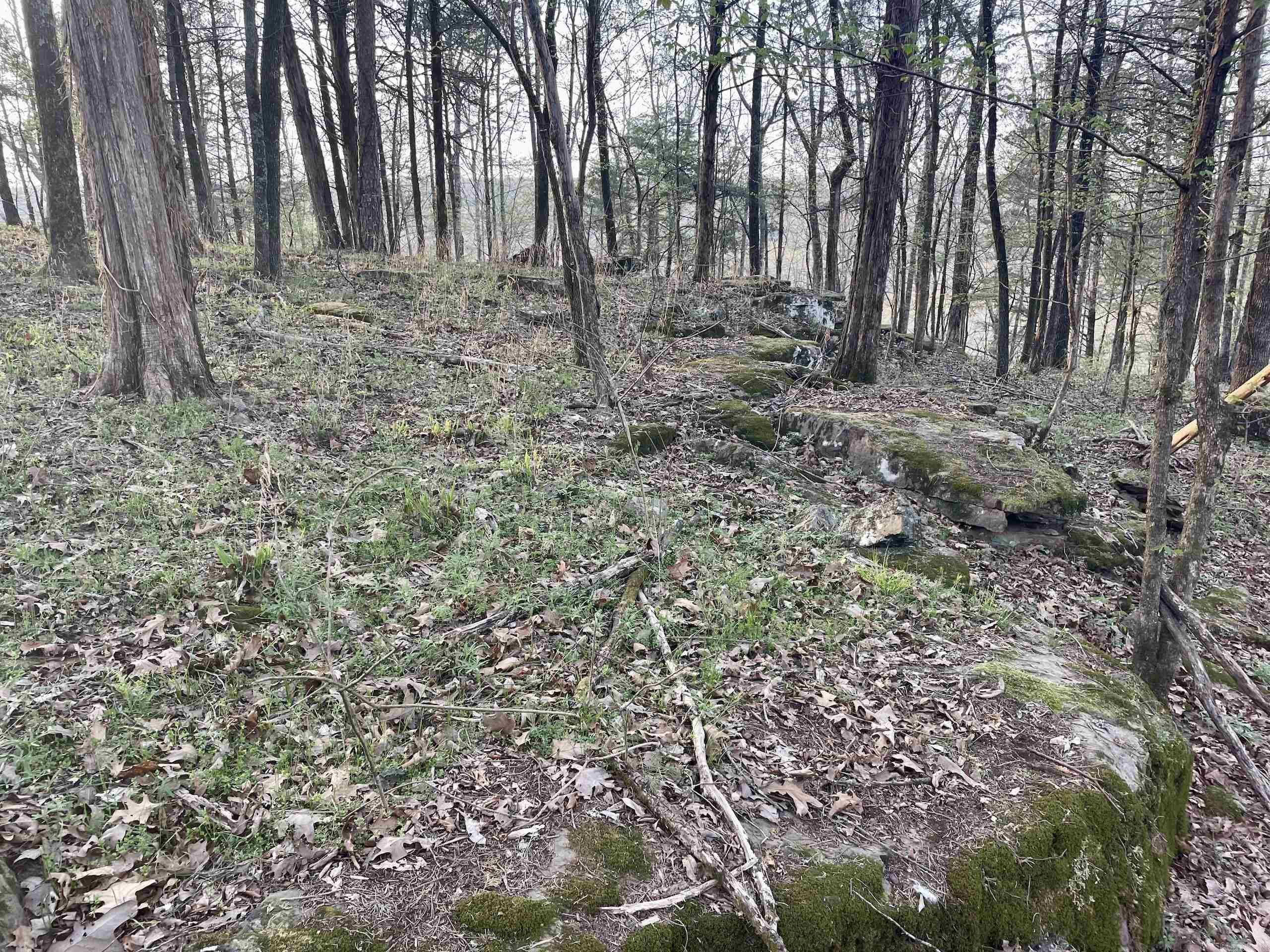 000 Trout Way Property Photo 20