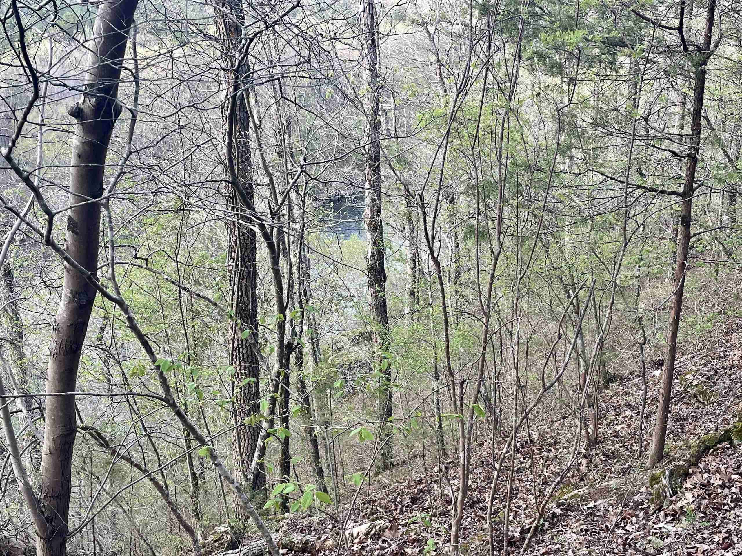 000 Trout Way Property Photo 25