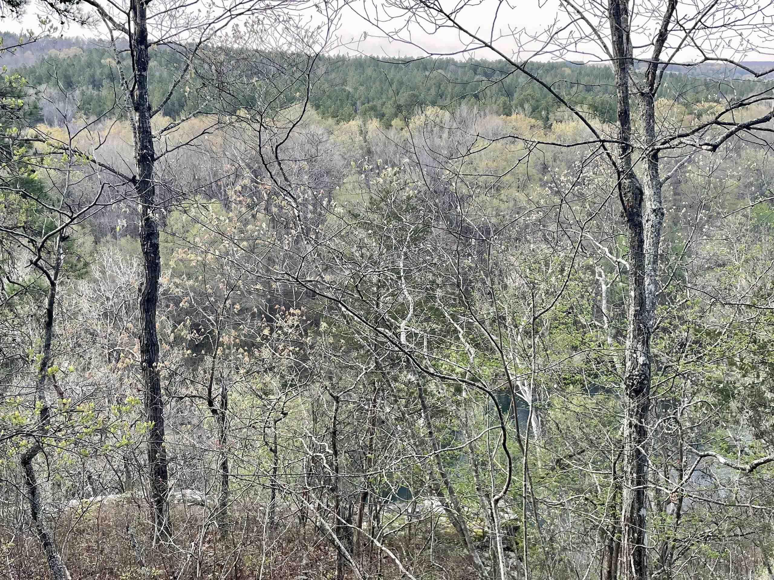 000 Trout Way Property Photo 26