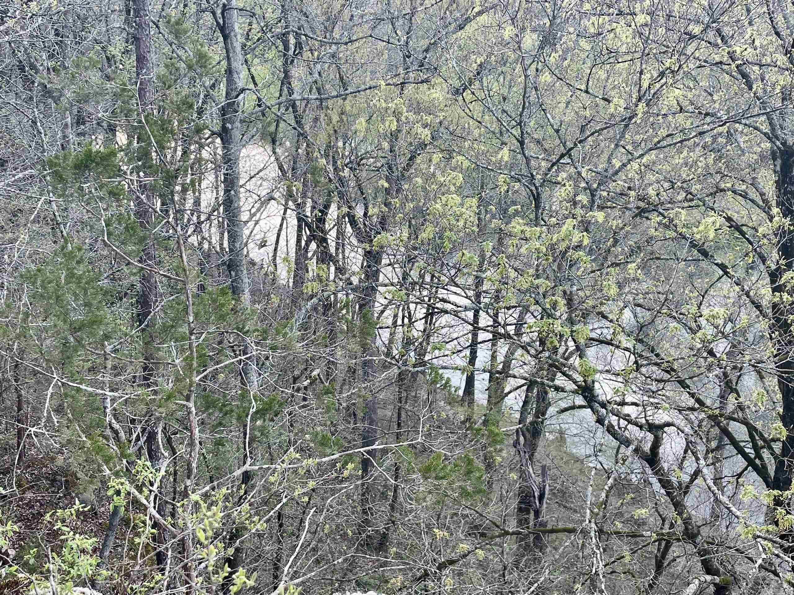 000 Trout Way Property Photo 31