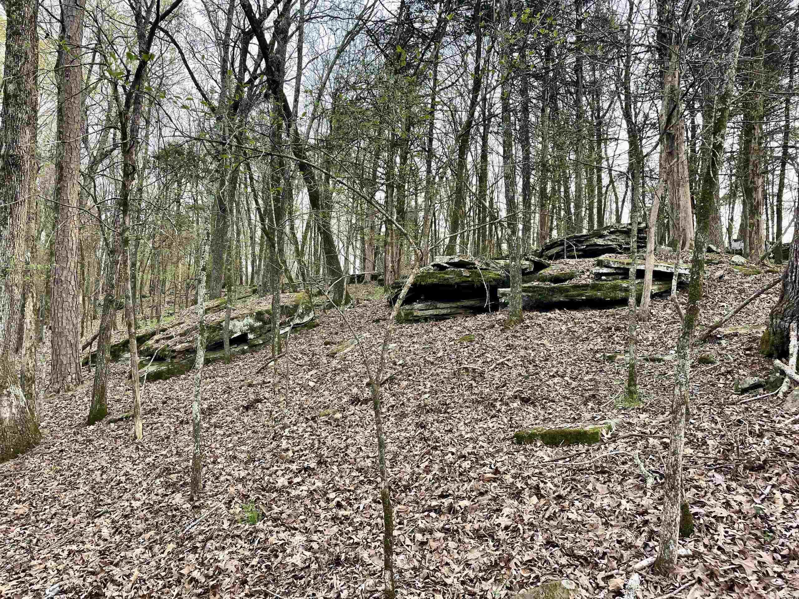 000 Trout Way Property Photo 34