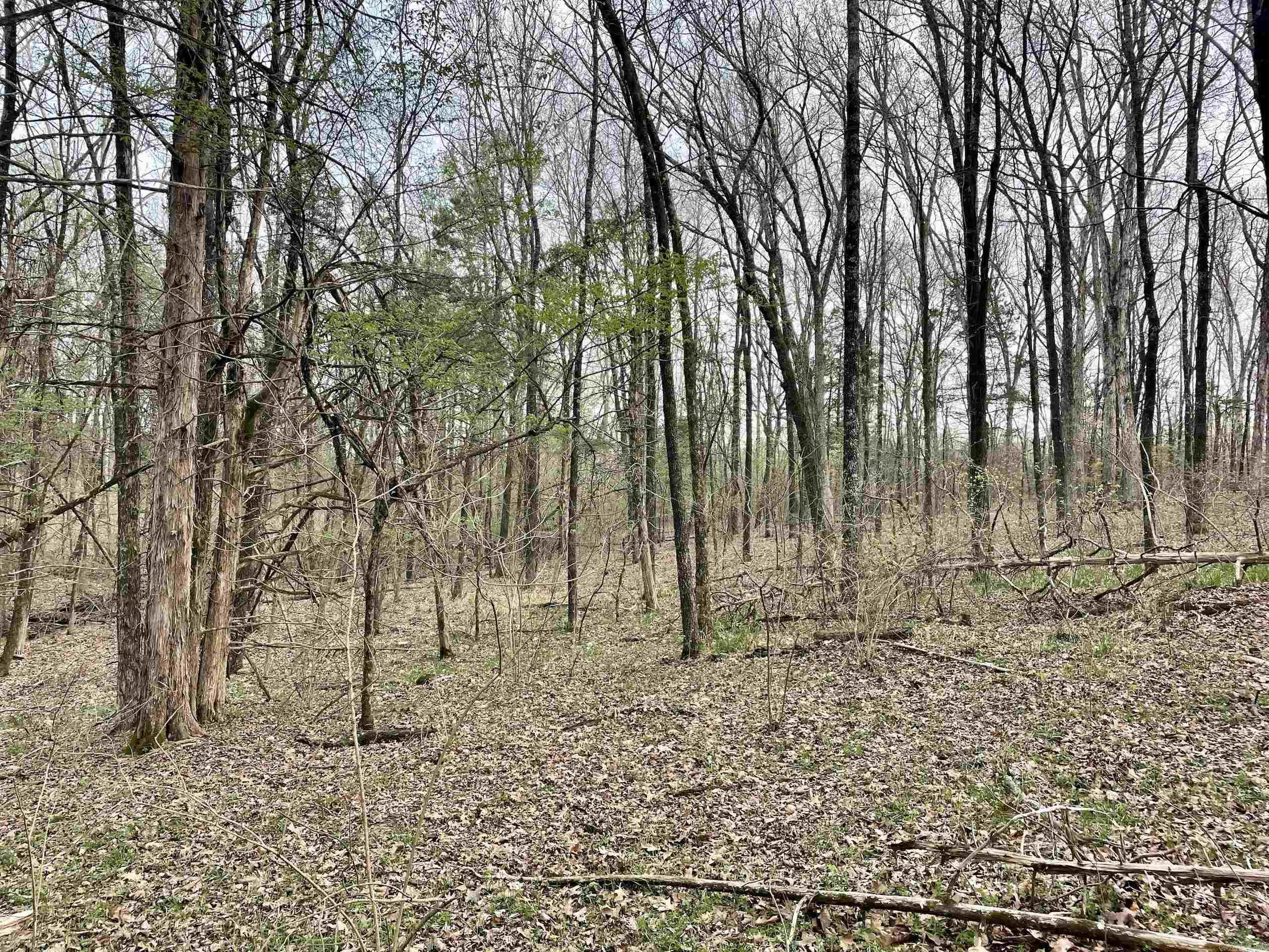 000 Trout Way Property Photo 36