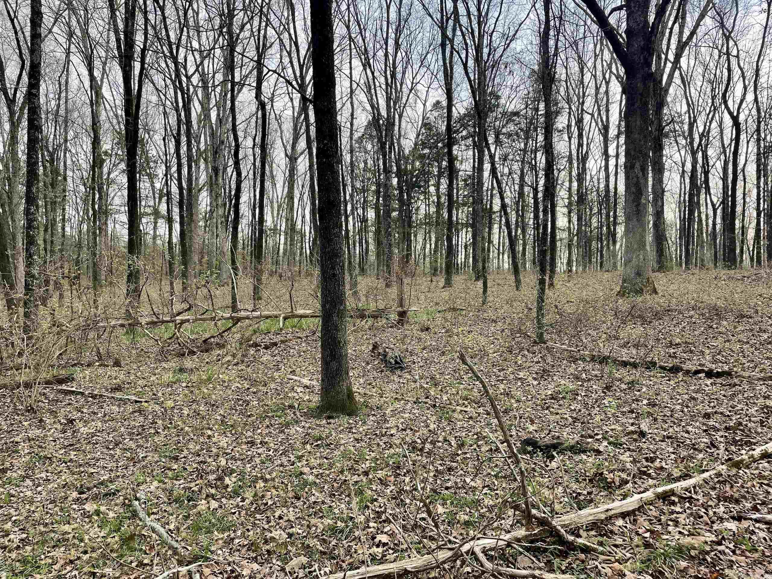 000 Trout Way Property Photo 37
