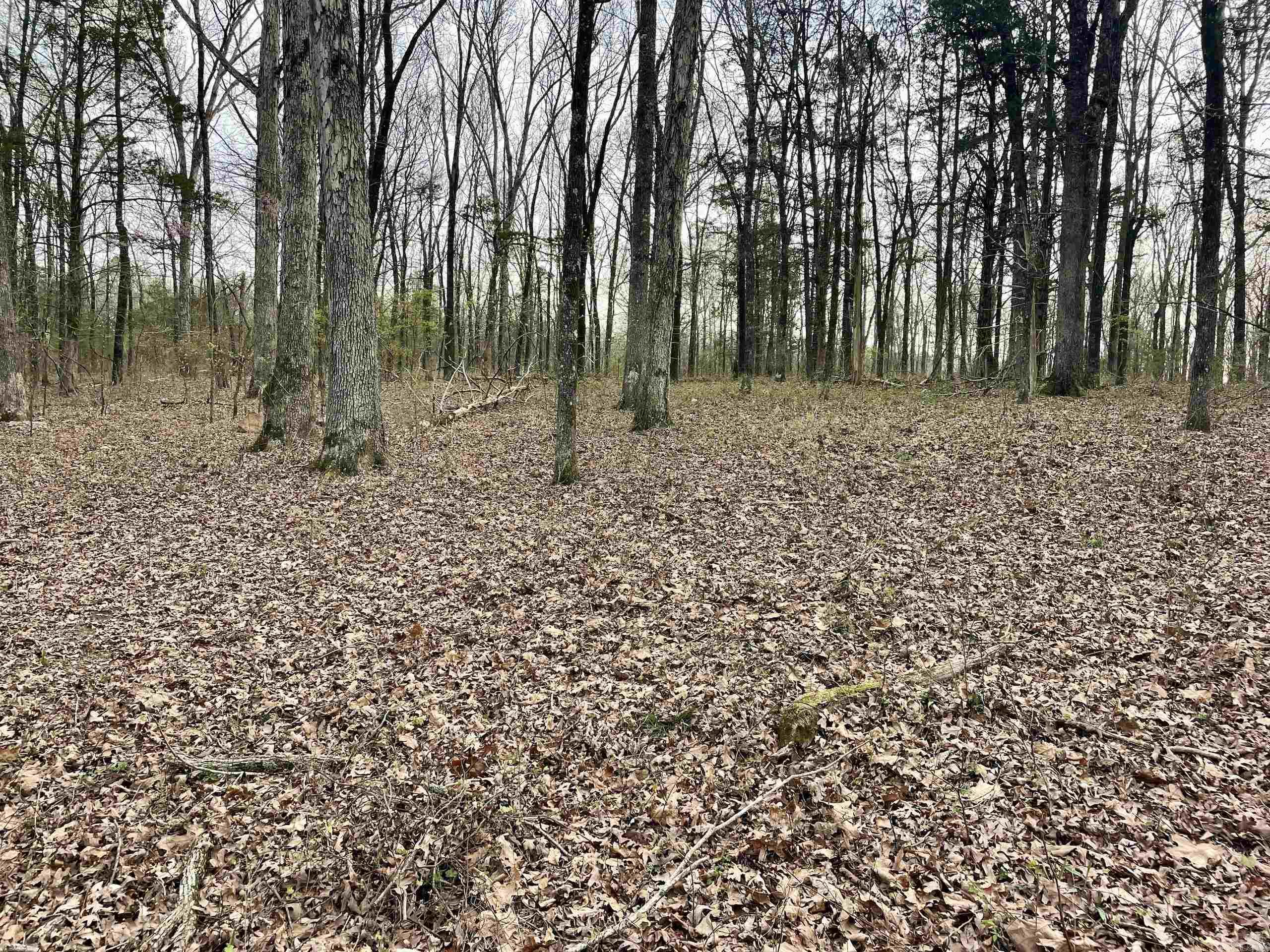 000 Trout Way Property Photo 38