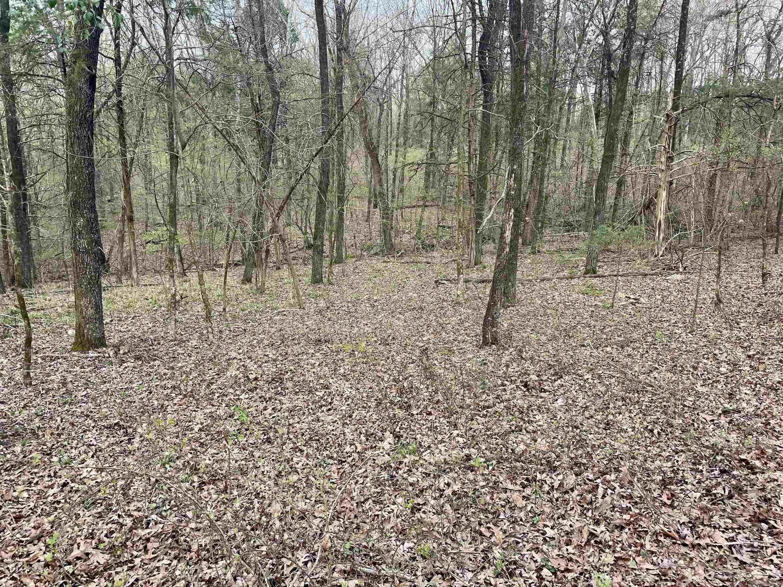 000 Trout Way Property Photo 39