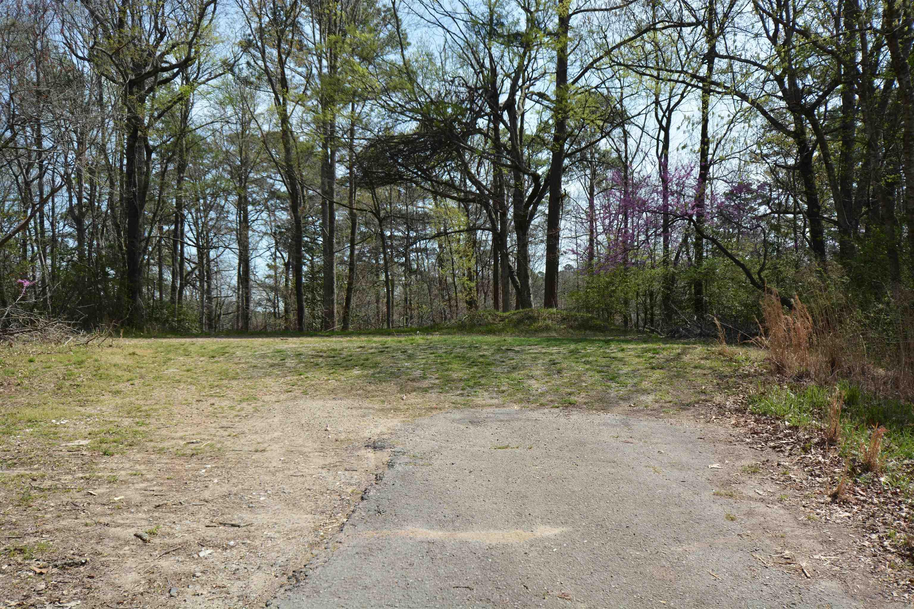 1024 Mineral Street Property Photo 2