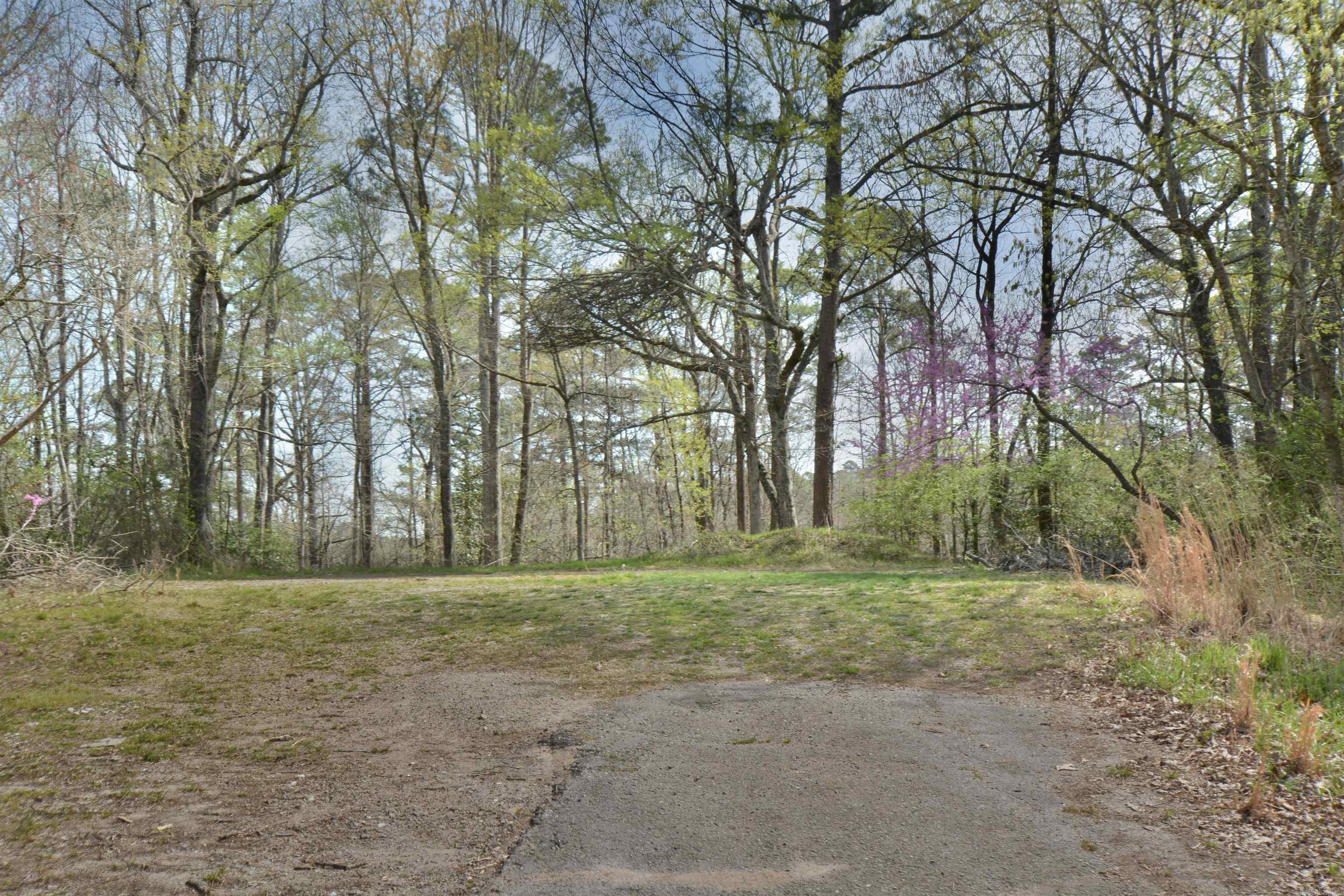 1024 Mineral Street Property Photo 3