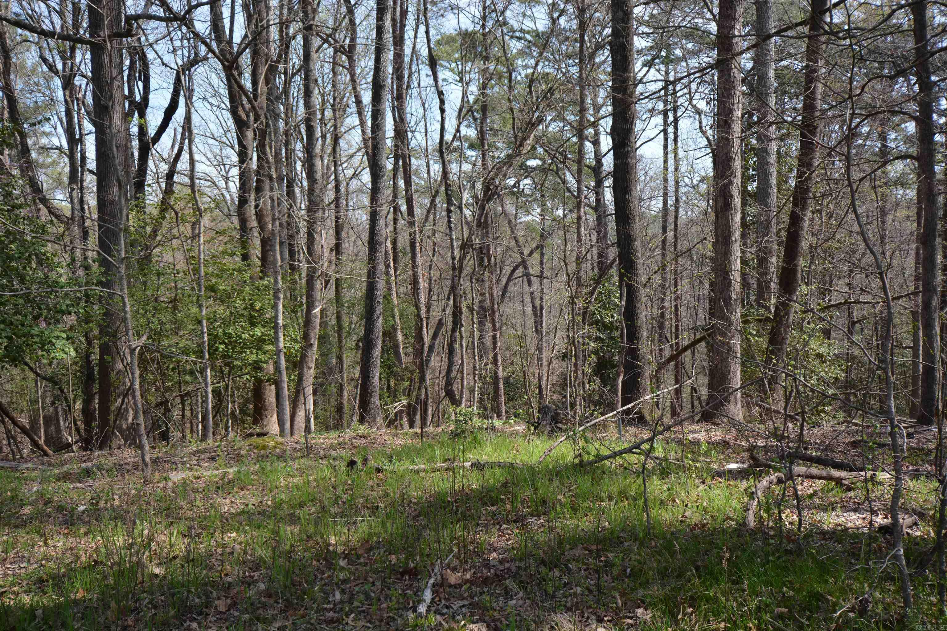 1024 Mineral Street Property Photo 4