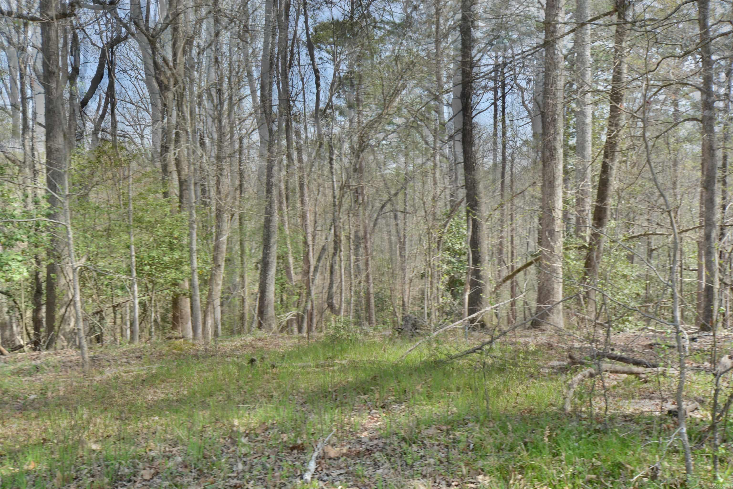 1024 Mineral Street Property Photo 5