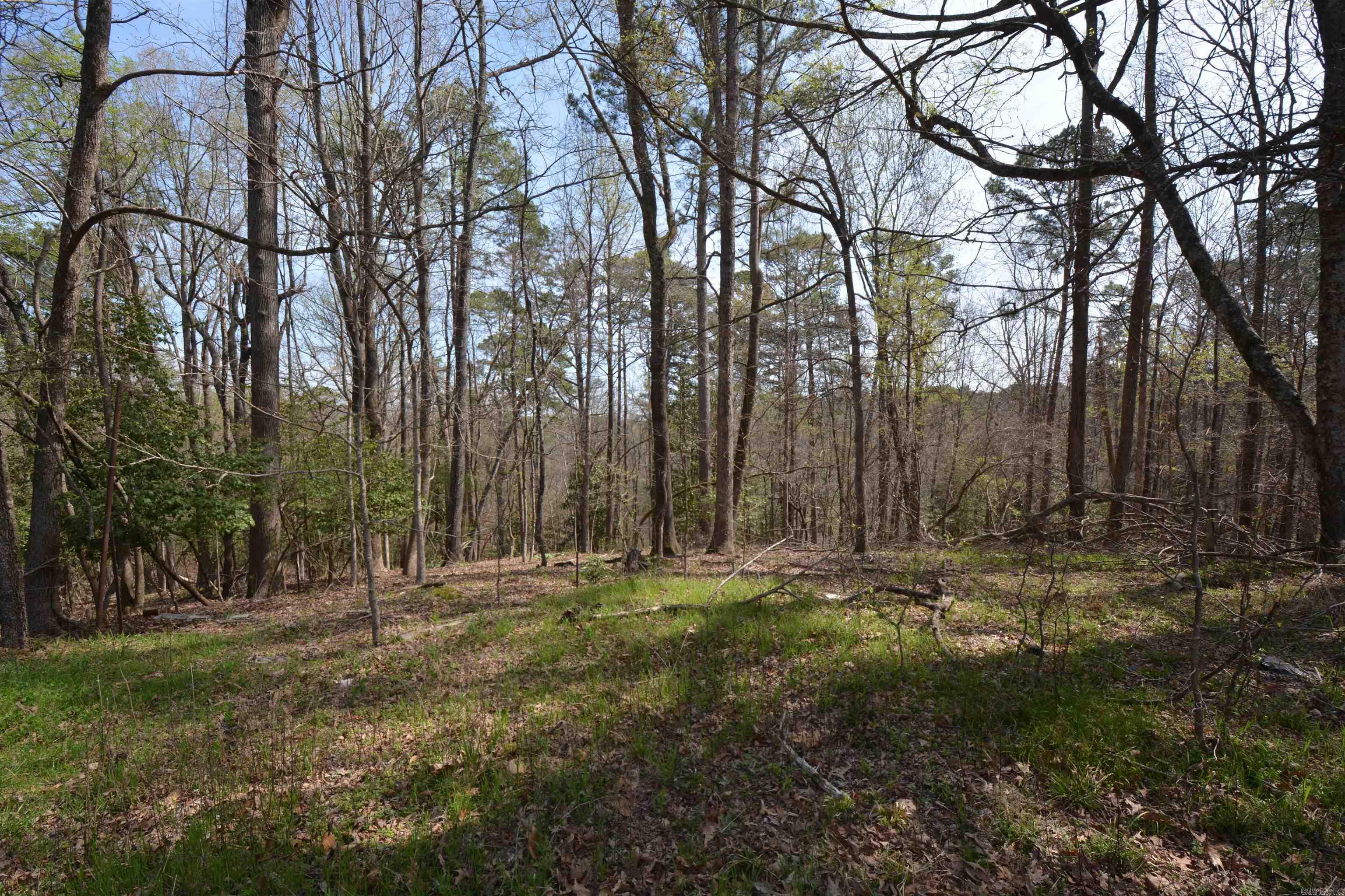 1024 Mineral Street Property Photo 6