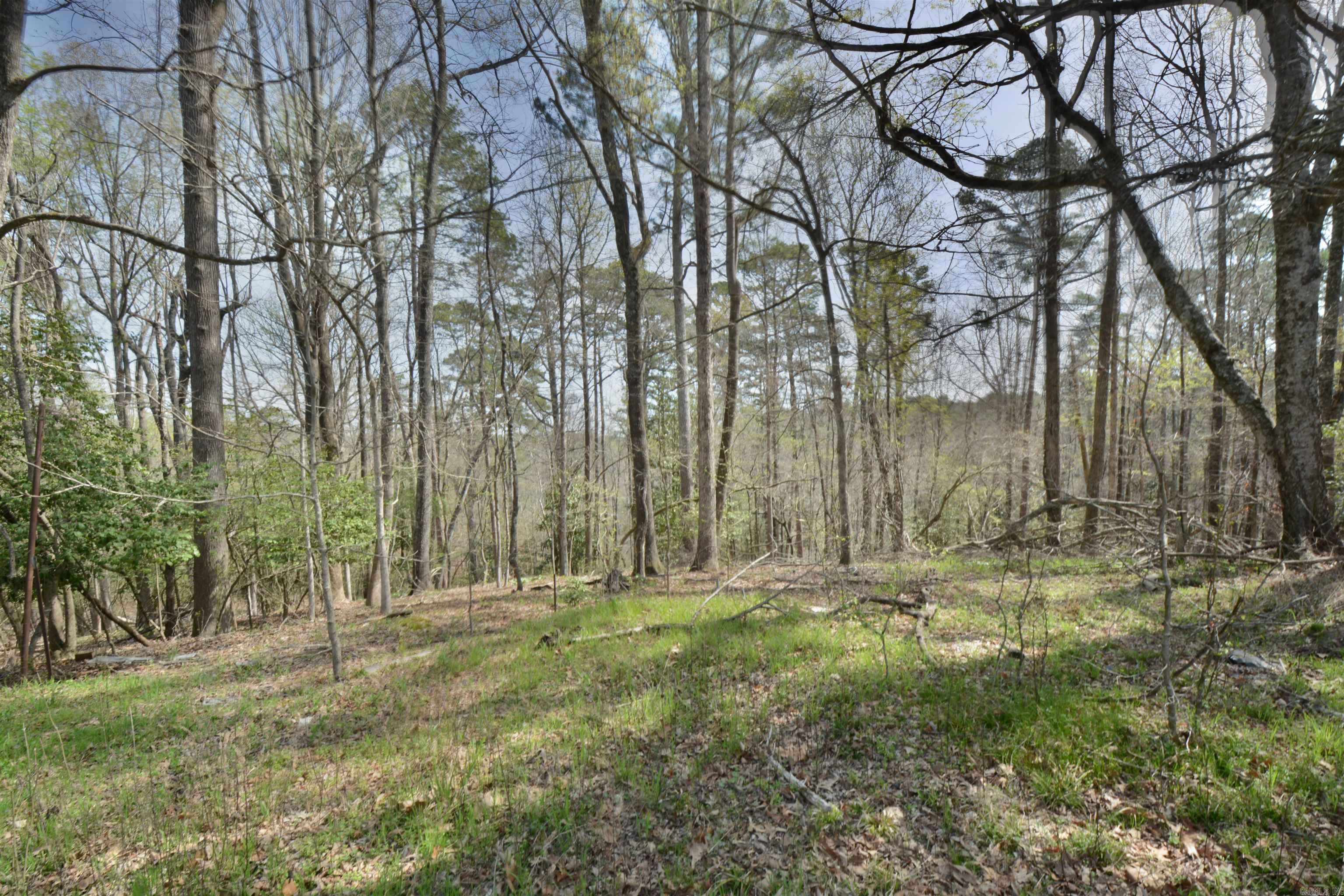 1024 Mineral Street Property Photo 7