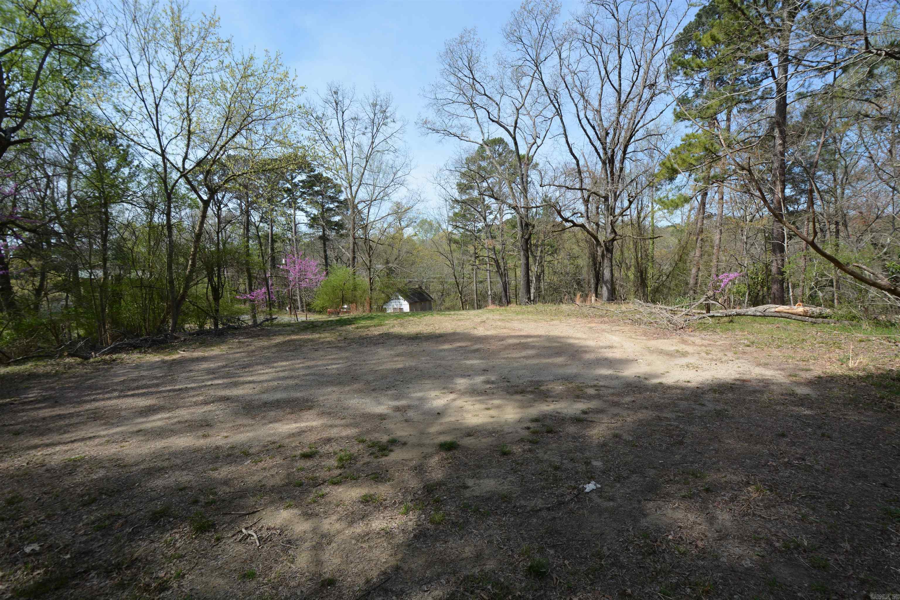 1024 Mineral Street Property Photo 9