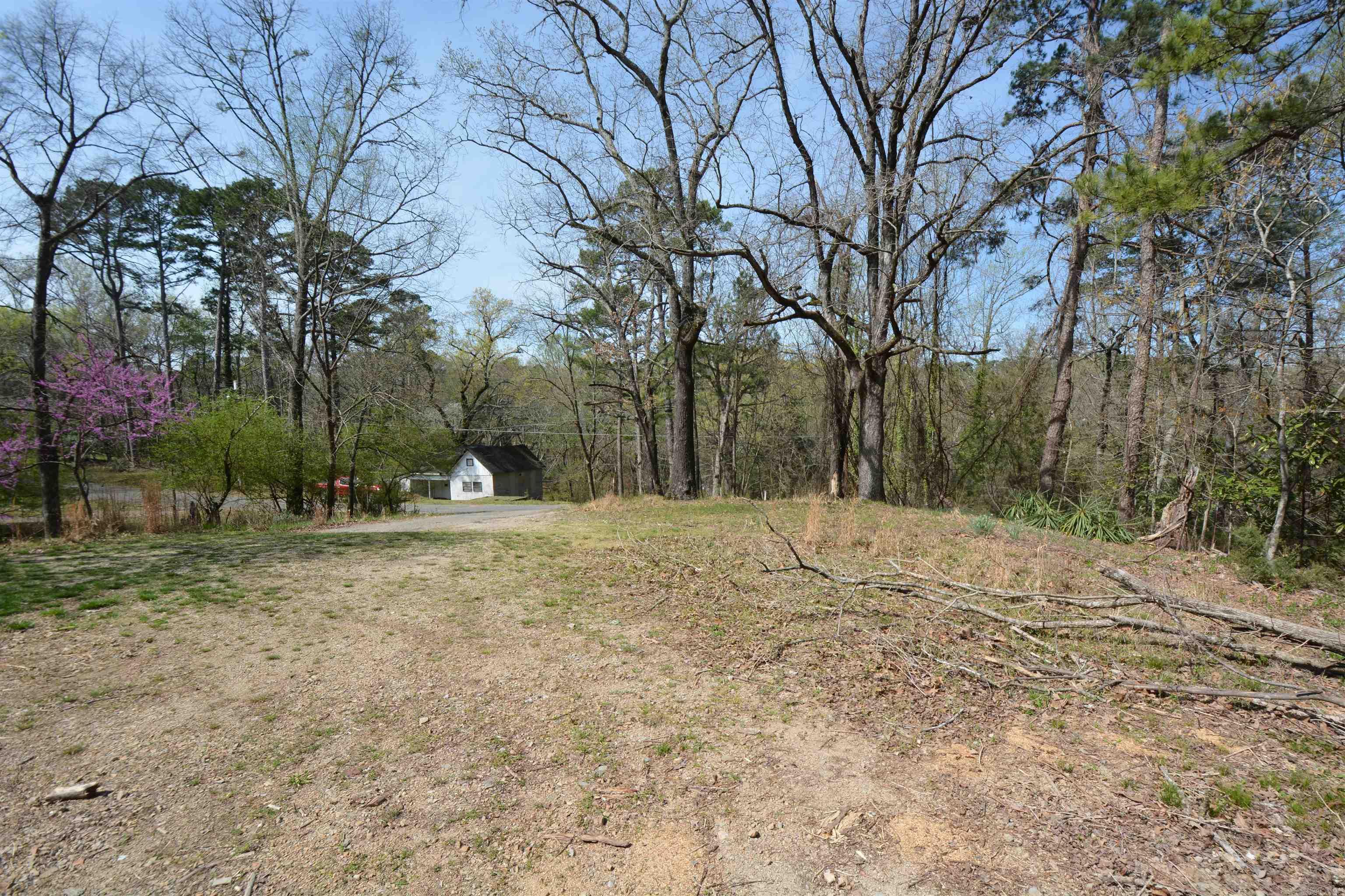 1024 Mineral Street Property Photo 10