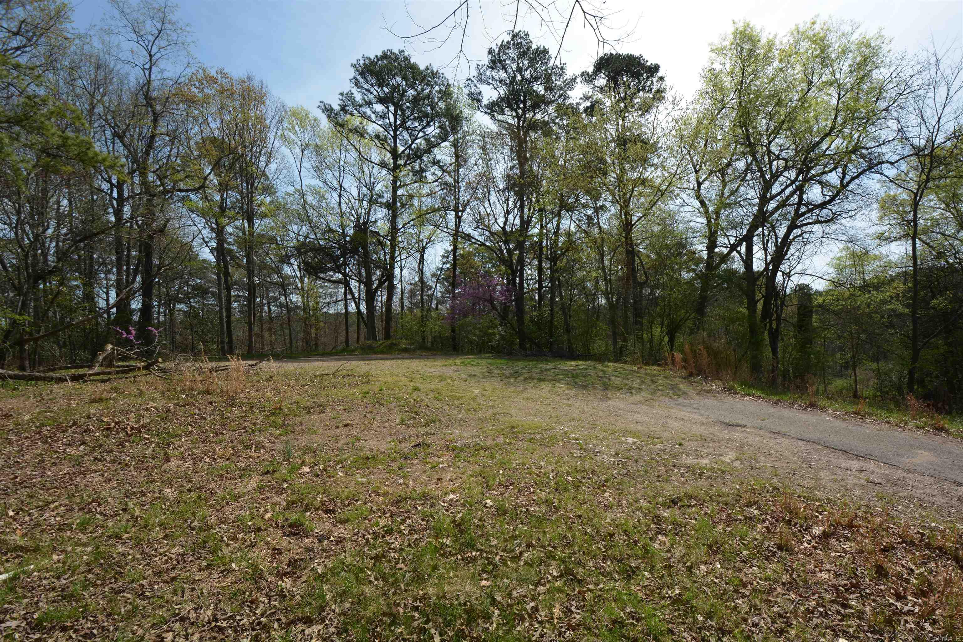 1024 Mineral Street Property Photo 15