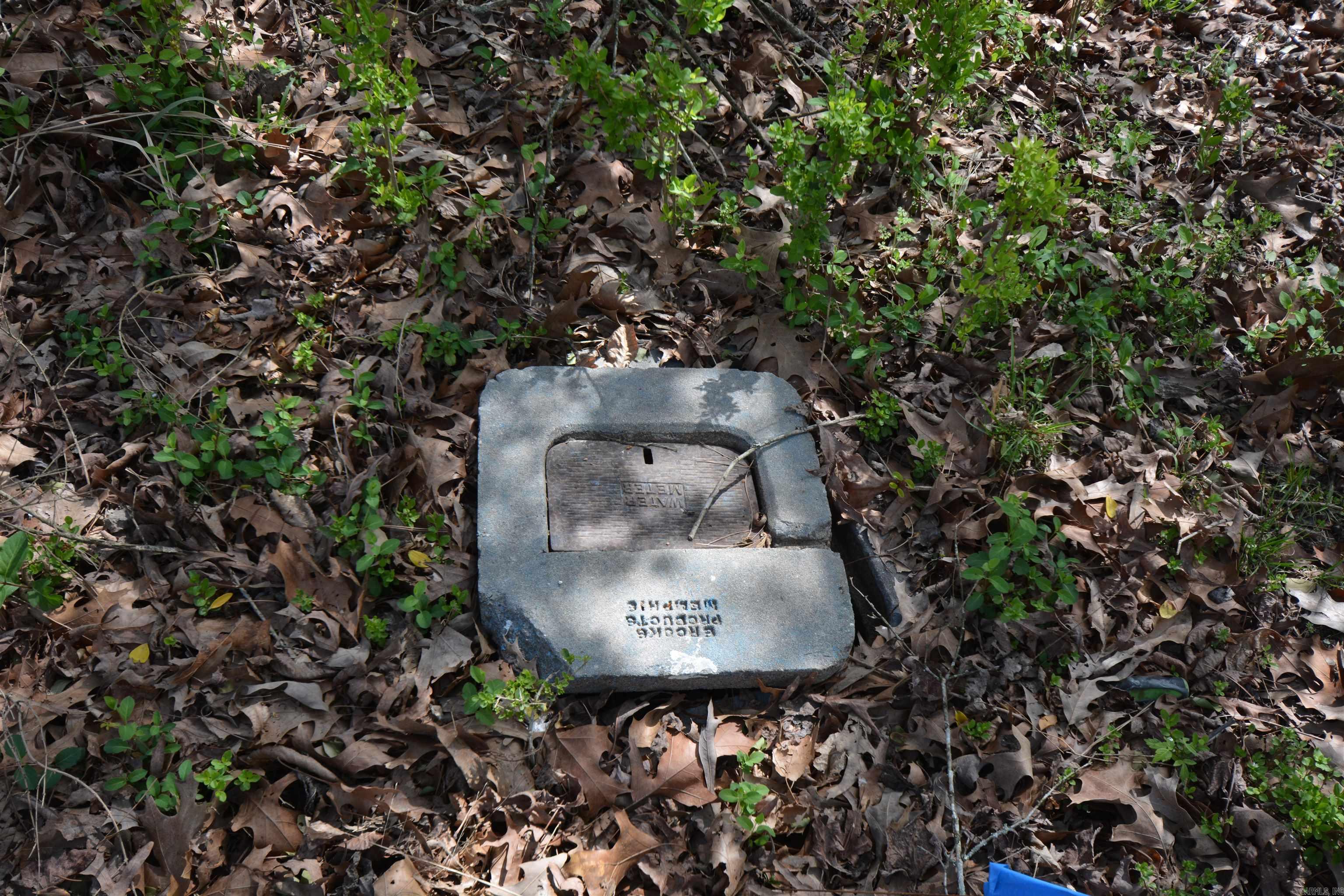 1024 Mineral Street Property Photo 16