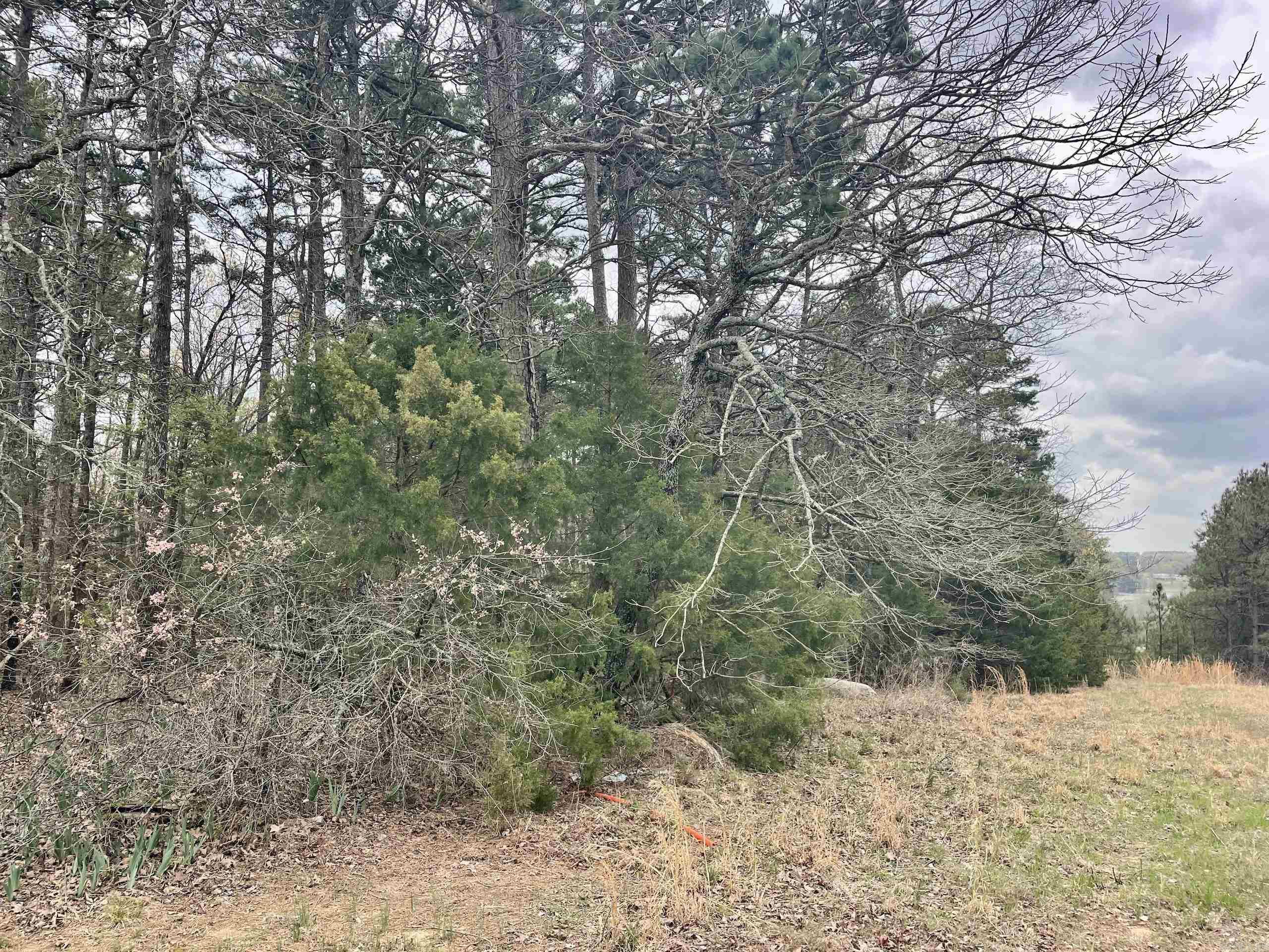 000 Bettis Mountain Road Property Photo 8