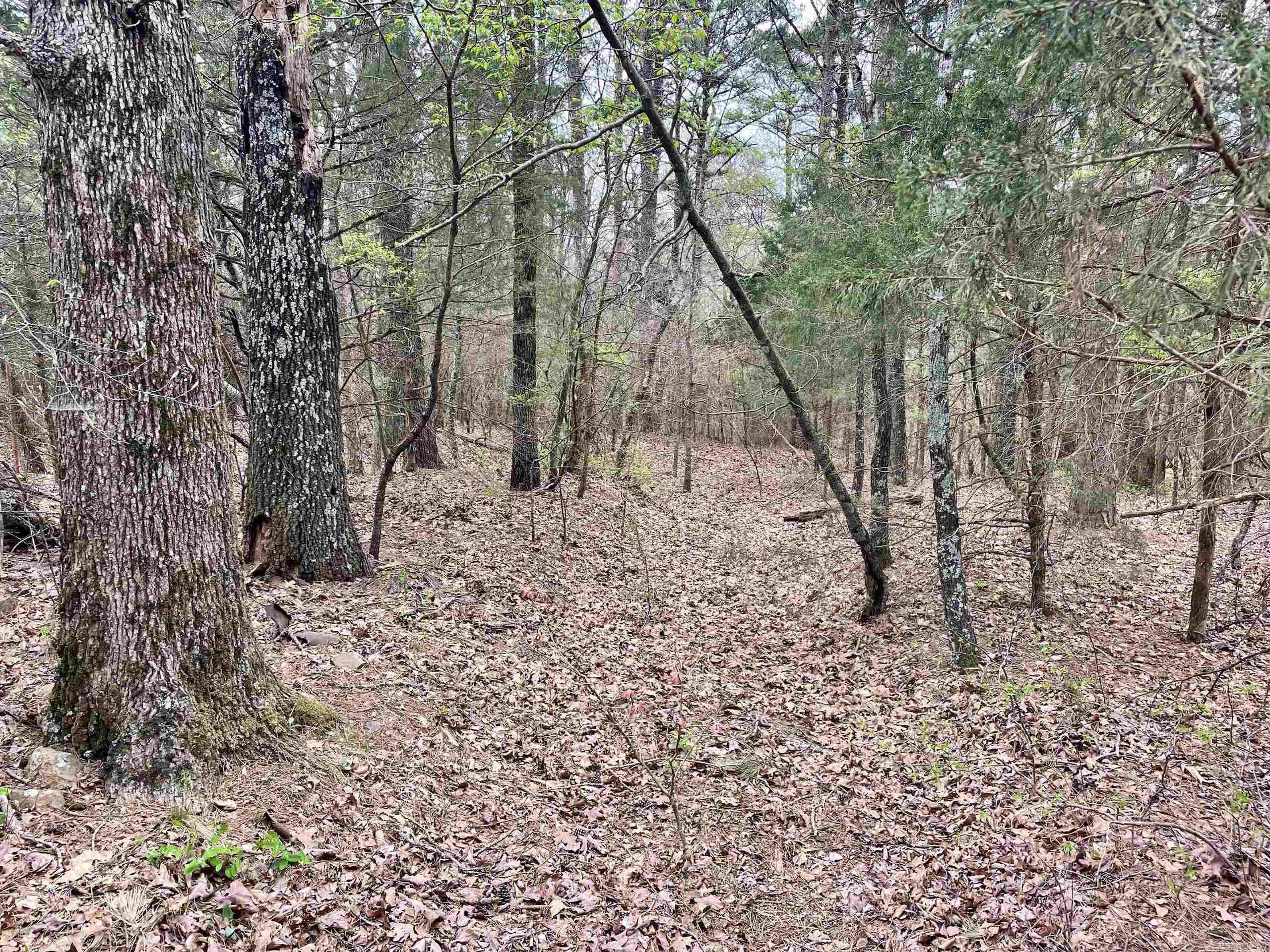 000 Bettis Mountain Road Property Photo 9