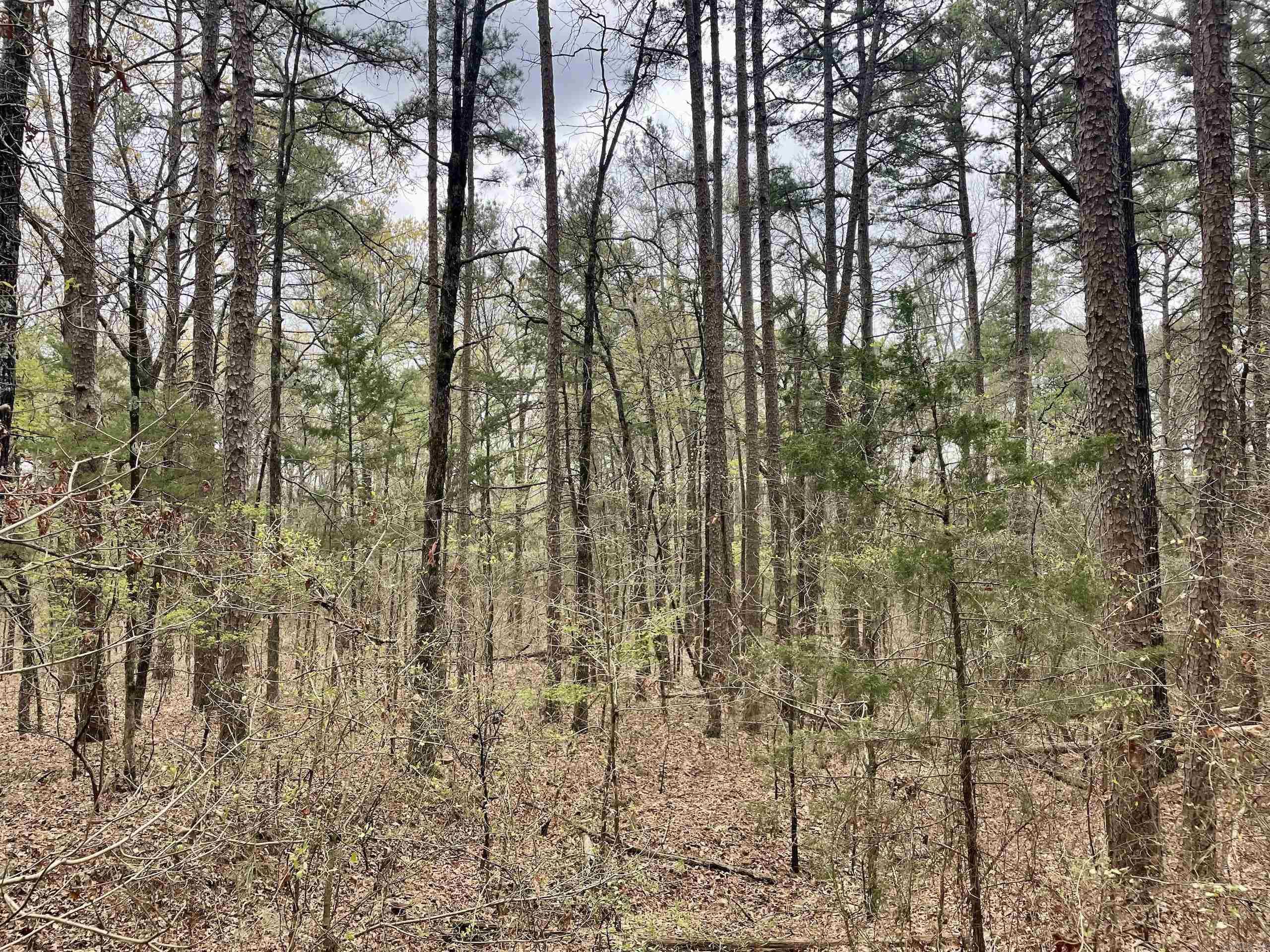 000 Bettis Mountain Road Property Photo 12