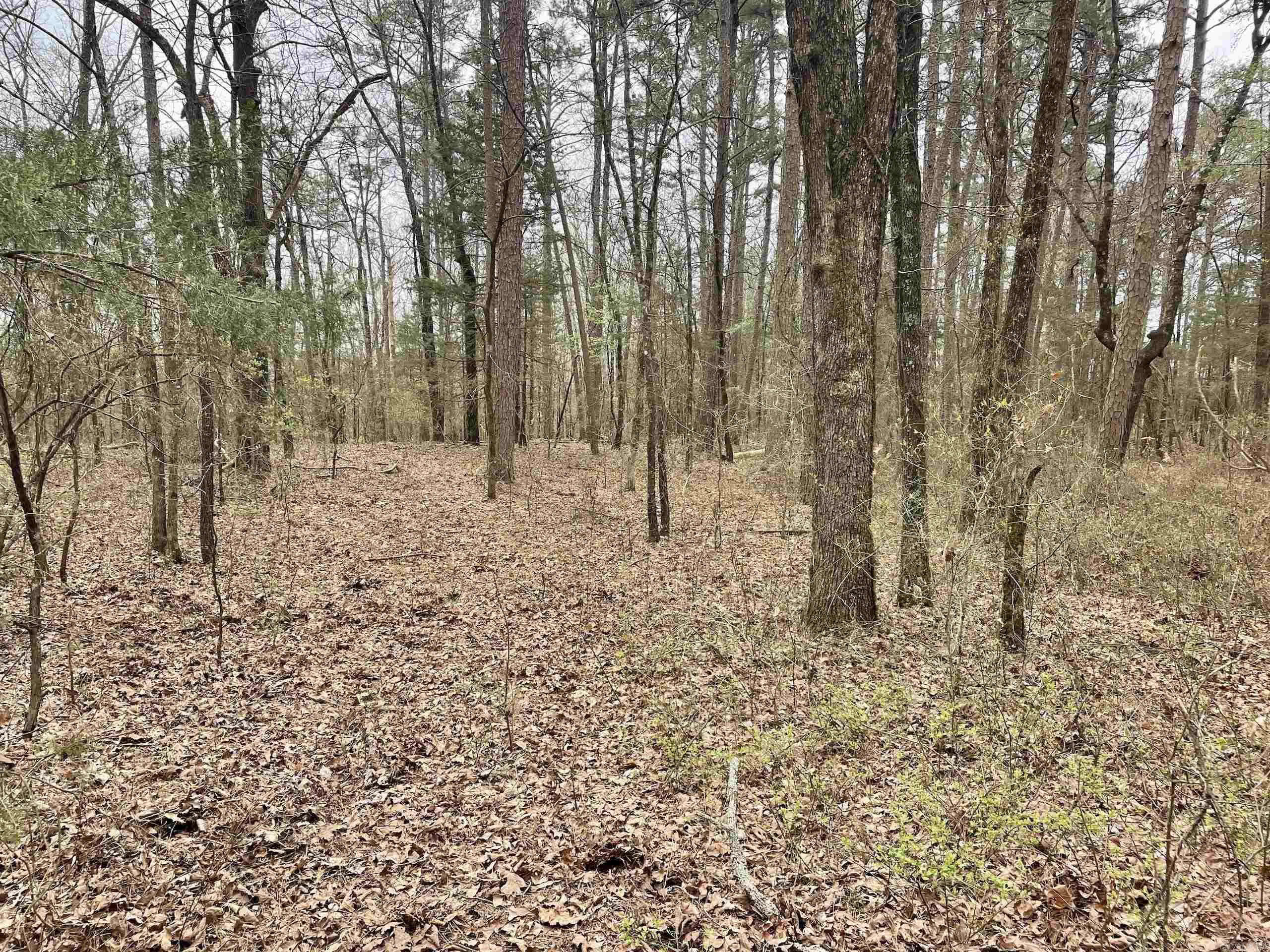 000 Bettis Mountain Road Property Photo 15