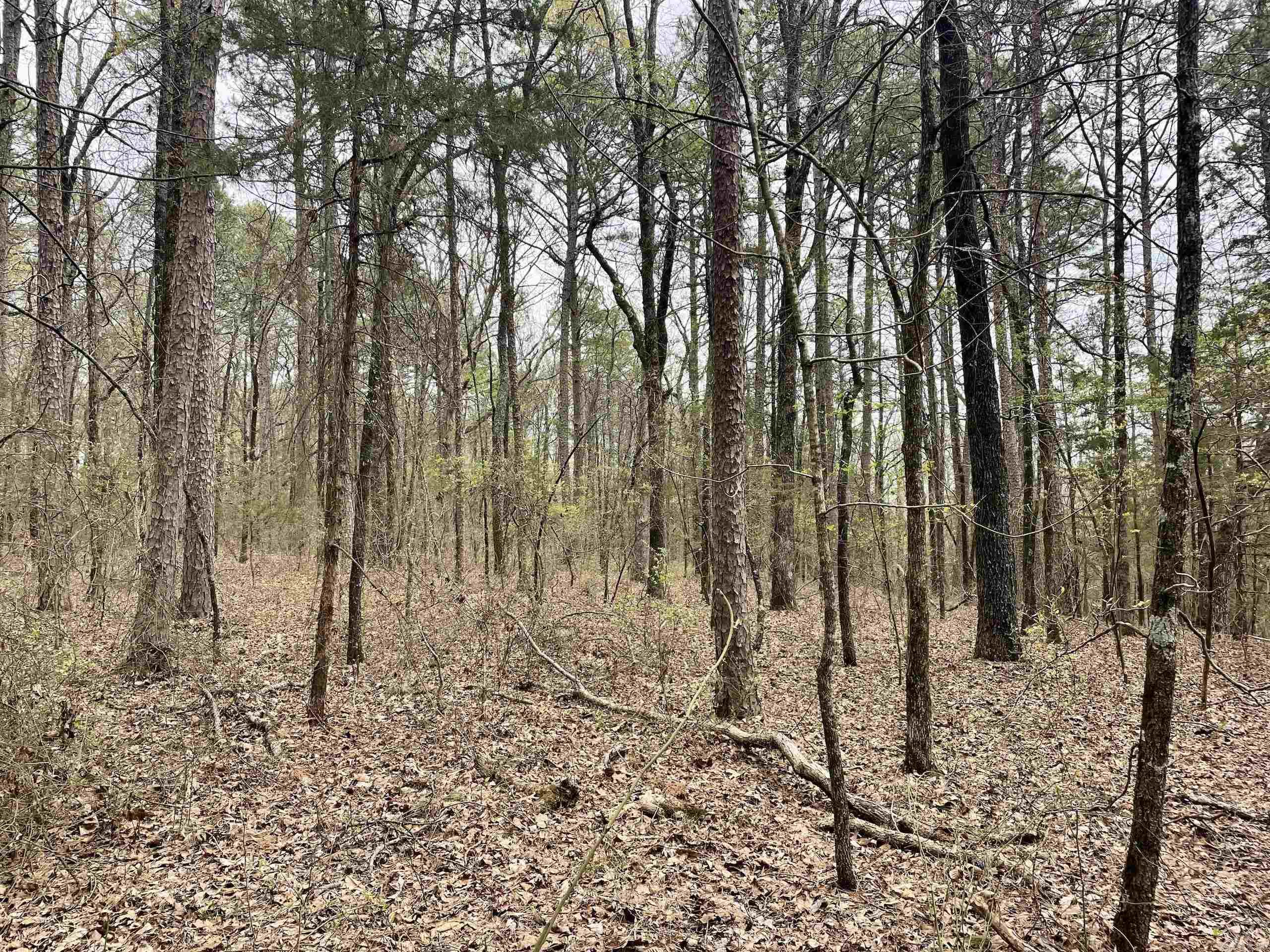 000 Bettis Mountain Road Property Photo 18