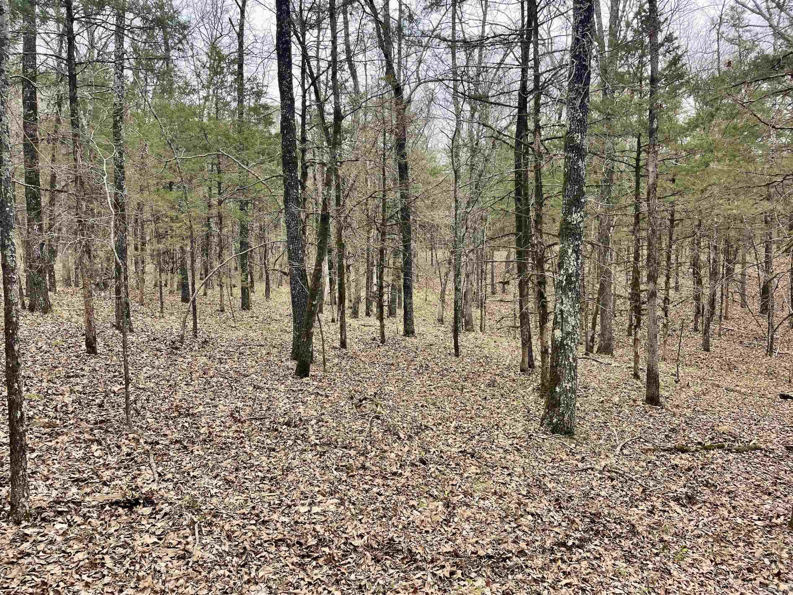 000 Bettis Mountain Road Property Photo 21