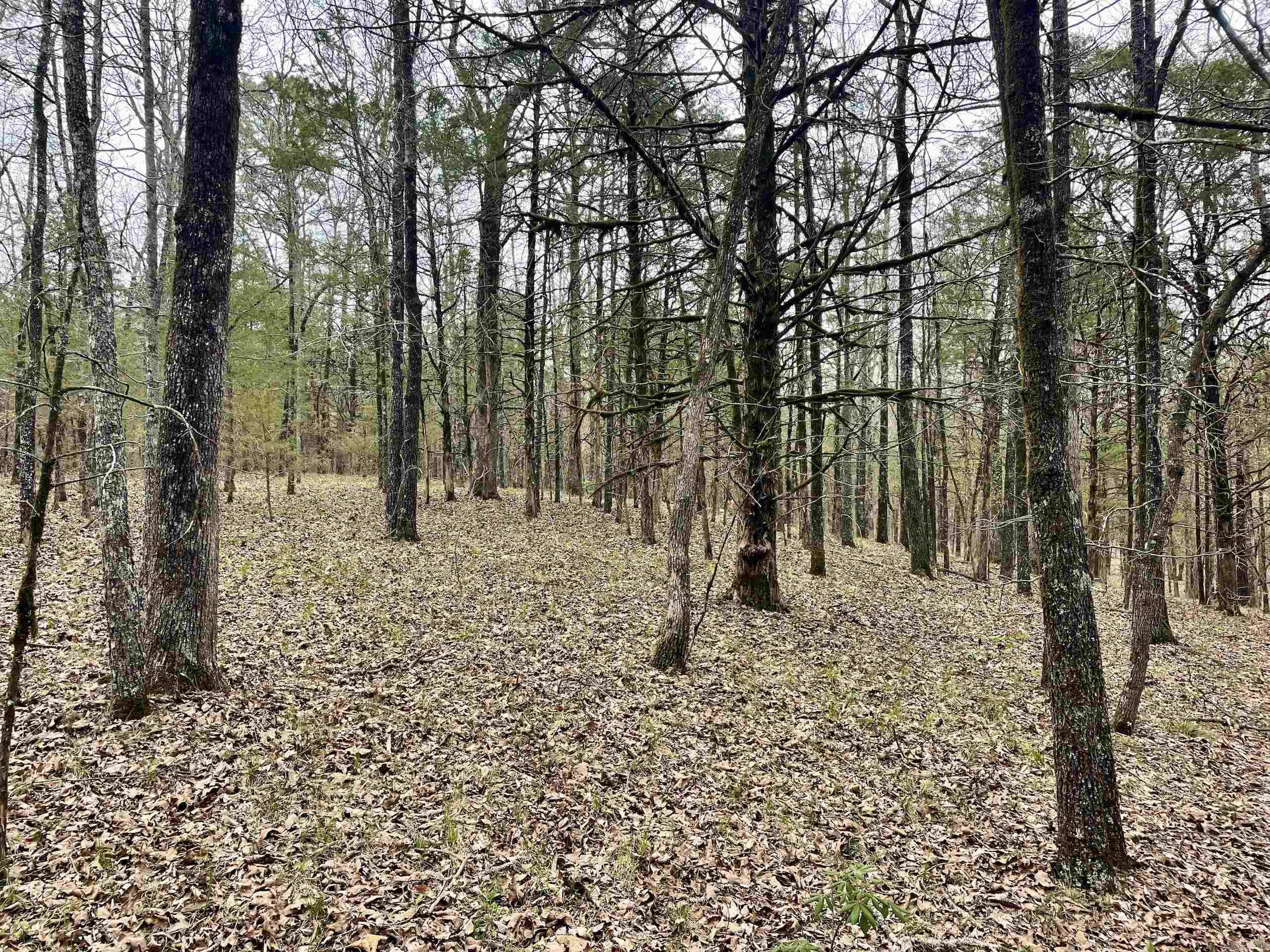 000 Bettis Mountain Road Property Photo 22