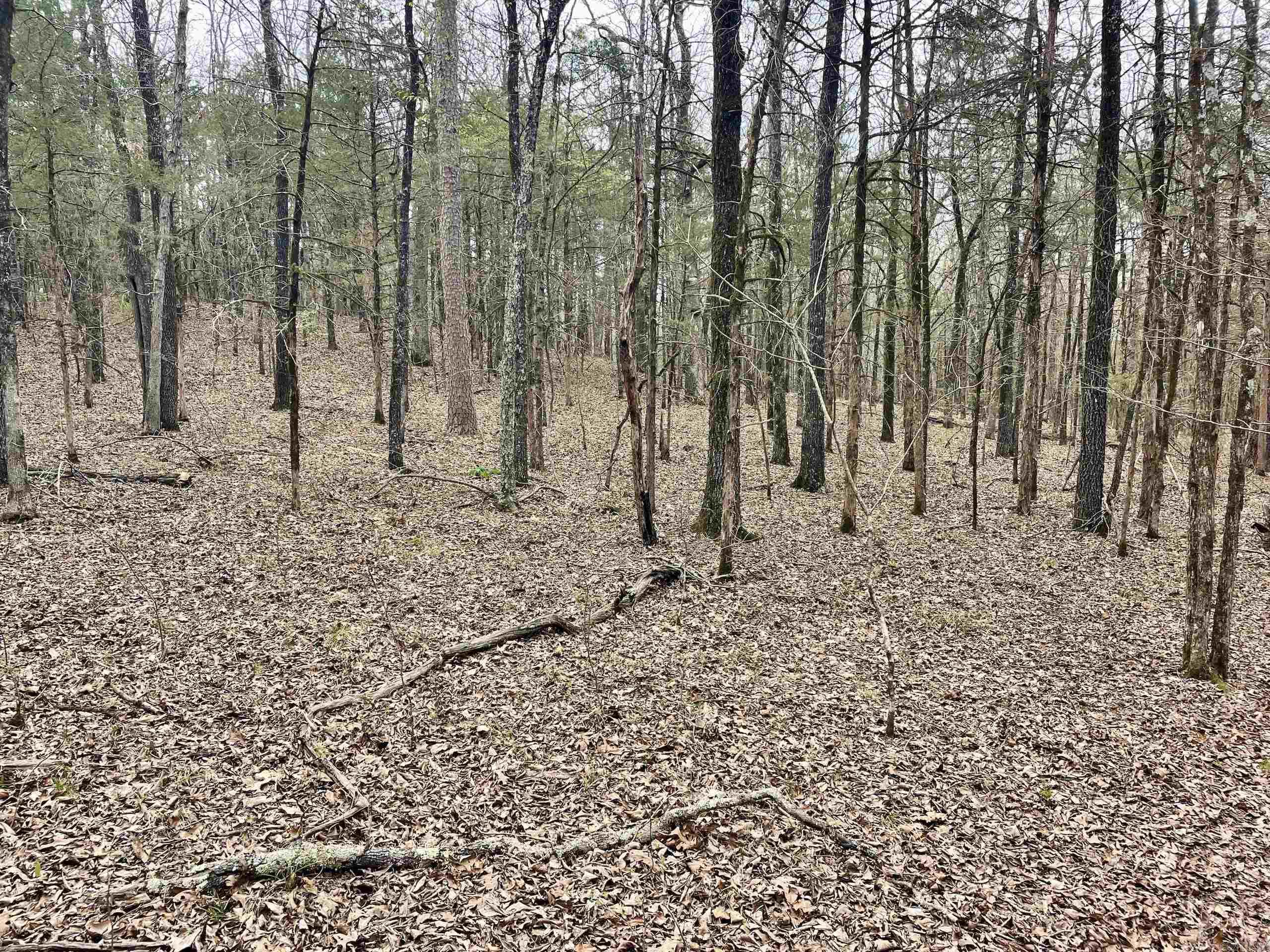000 Bettis Mountain Road Property Photo 24