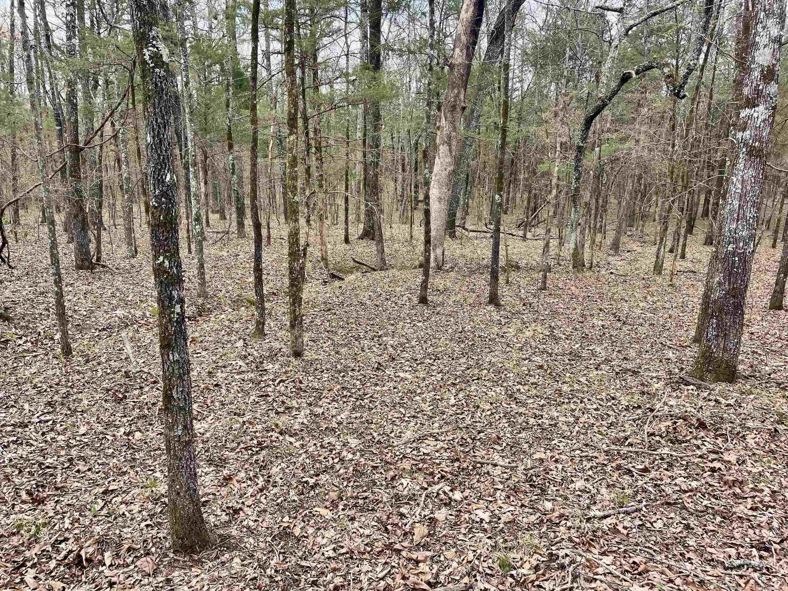 000 Bettis Mountain Road Property Photo 25