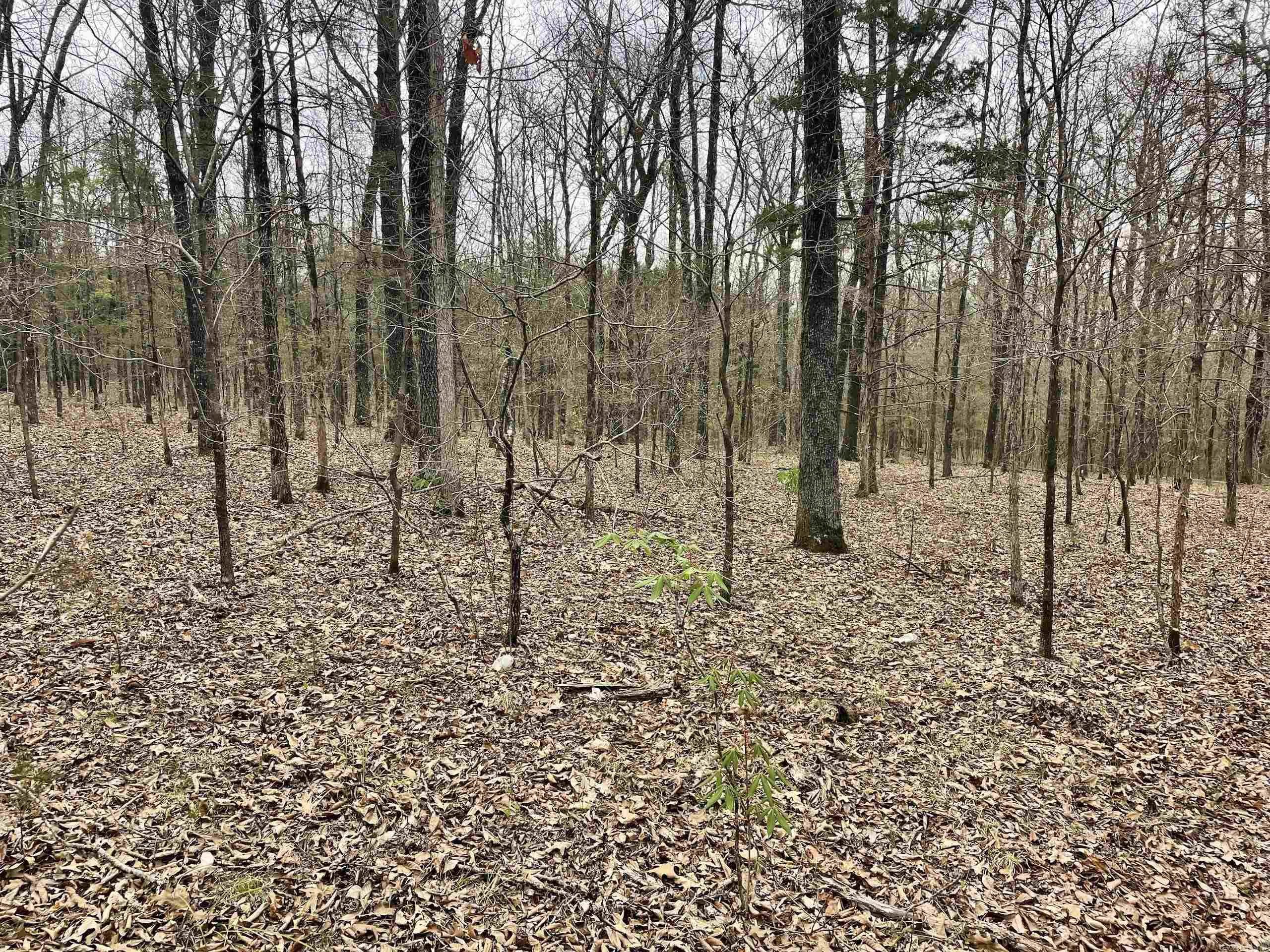 000 Bettis Mountain Road Property Photo 26