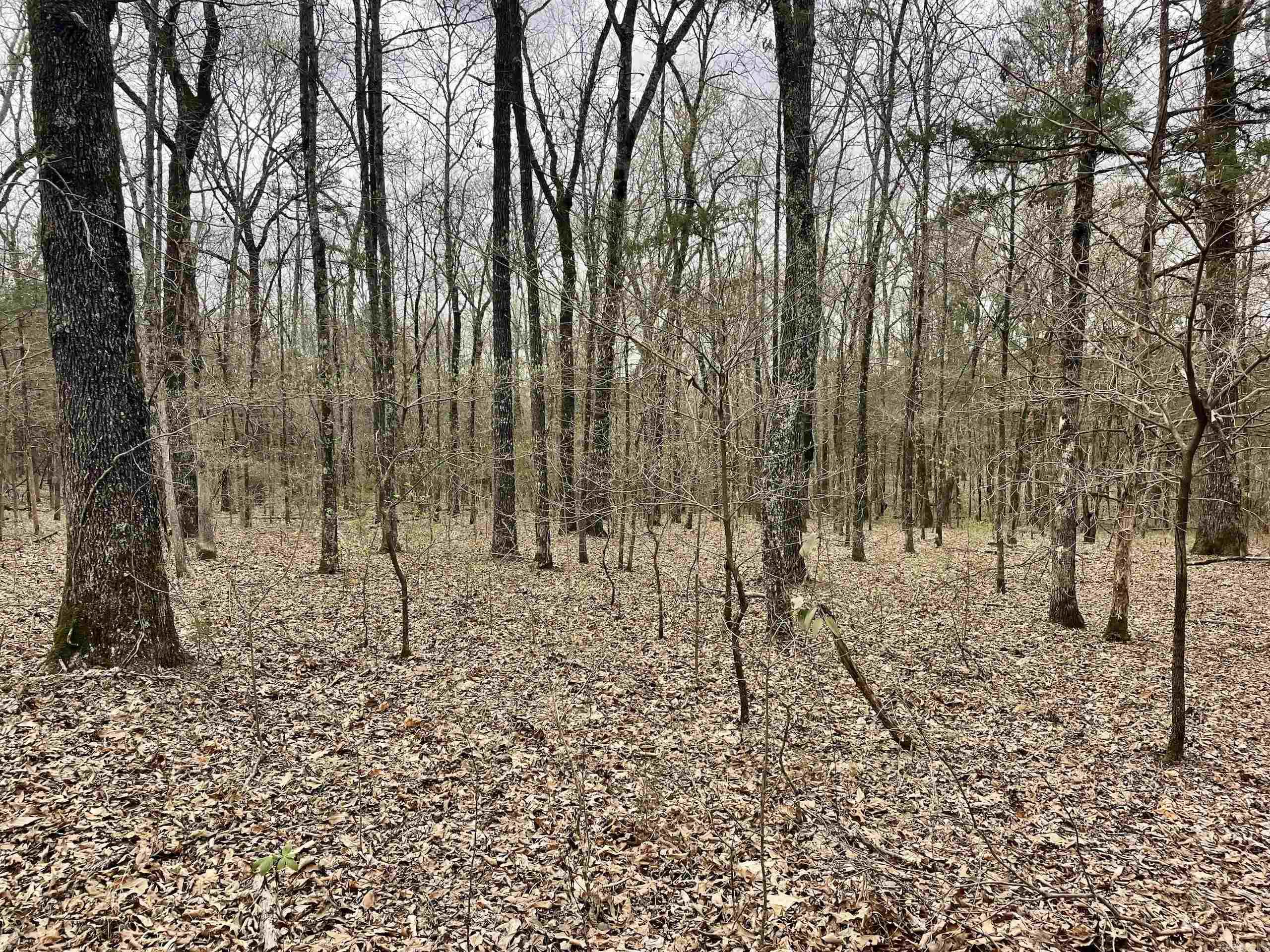 000 Bettis Mountain Road Property Photo 27