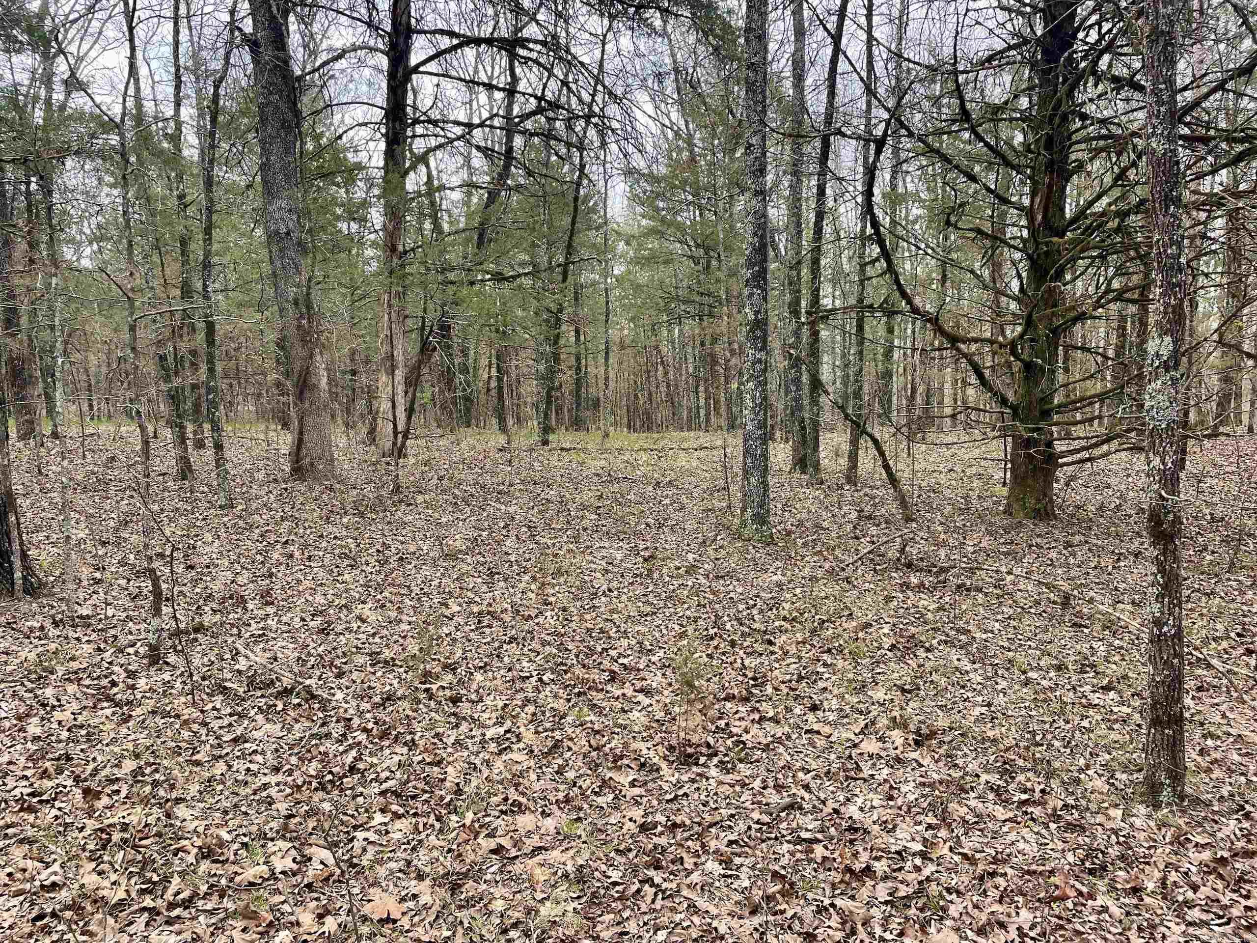 000 Bettis Mountain Road Property Photo 29