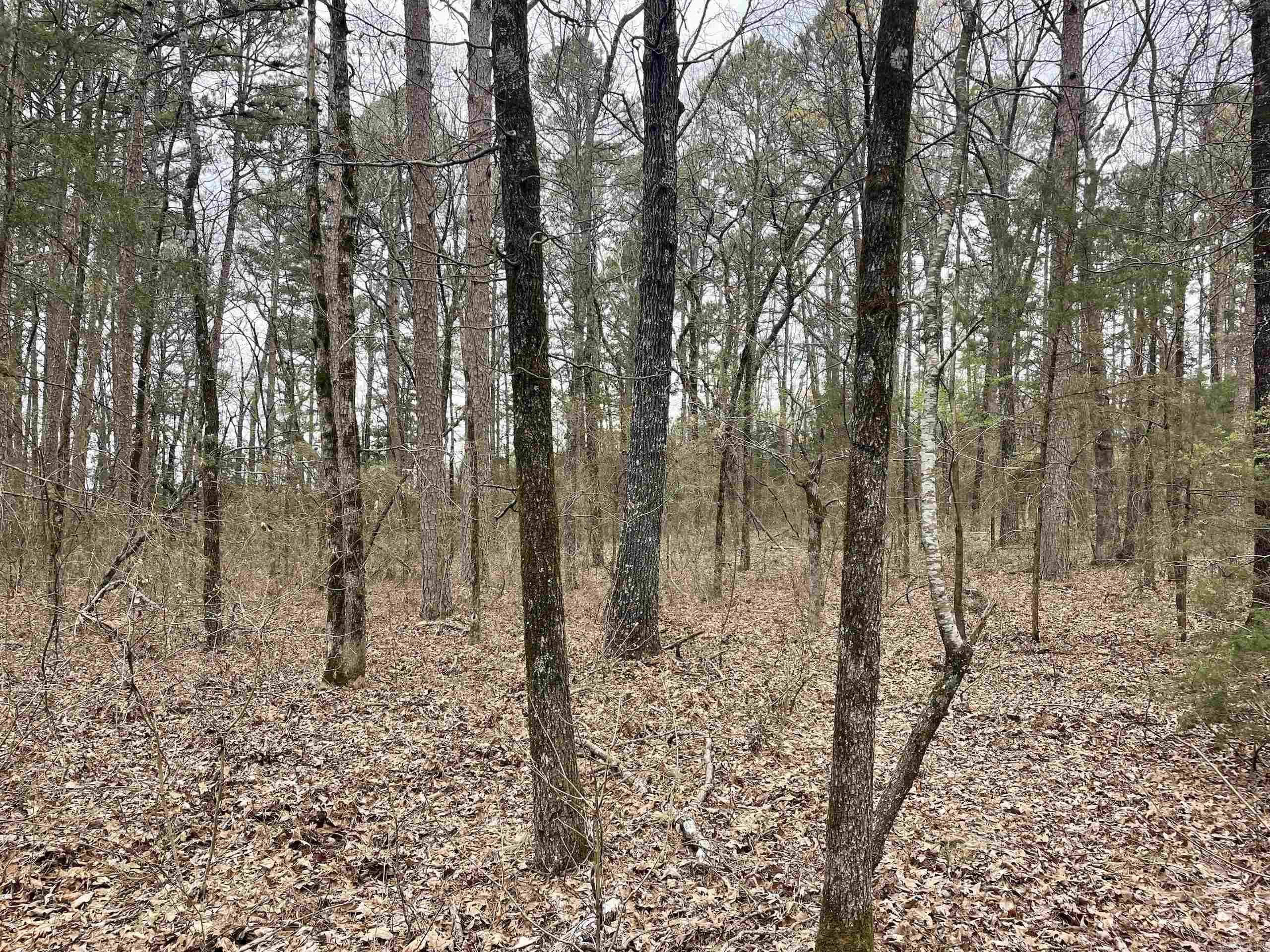 000 Bettis Mountain Road Property Photo 30
