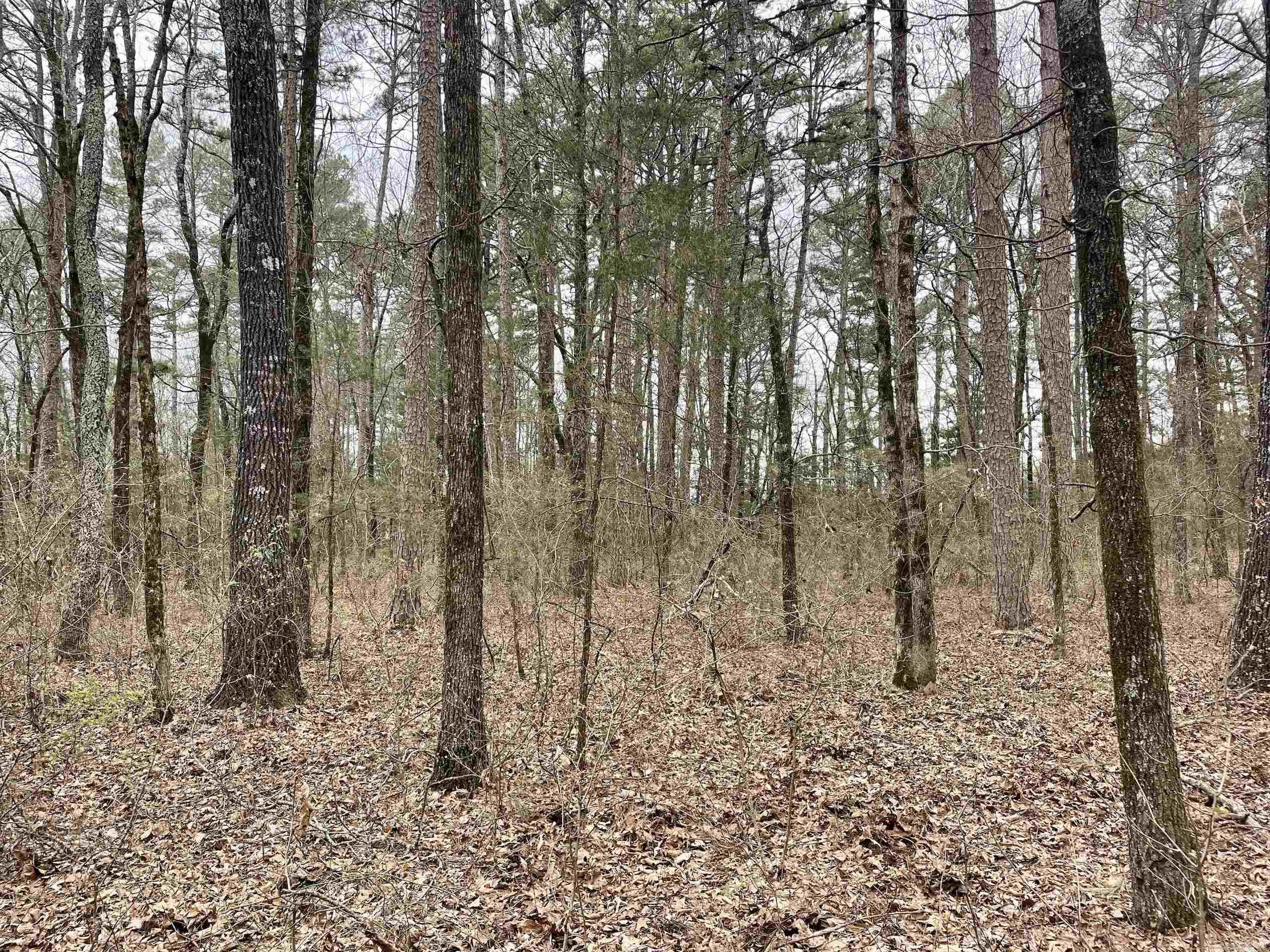 000 Bettis Mountain Road Property Photo 31
