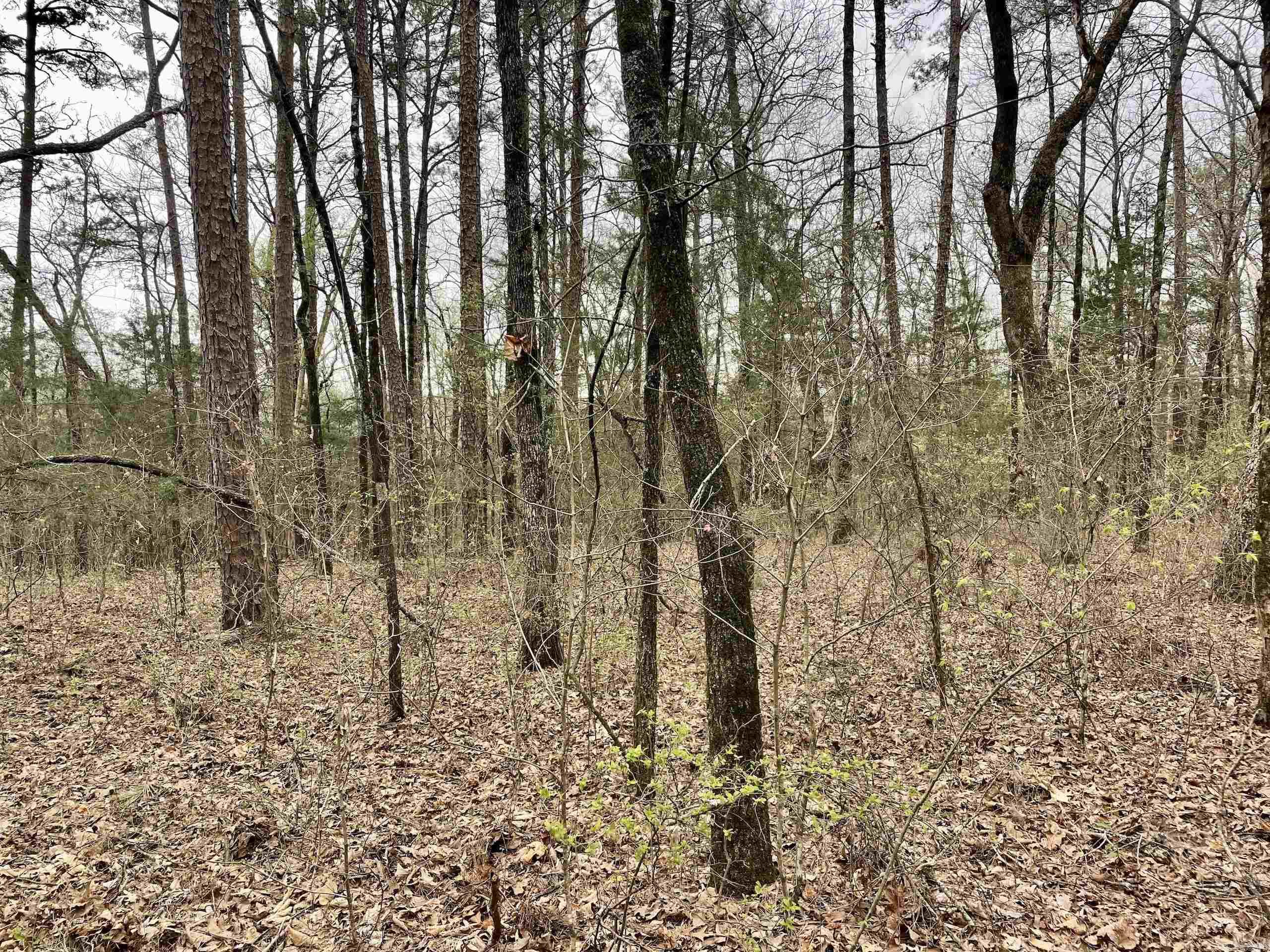 000 Bettis Mountain Road Property Photo 32