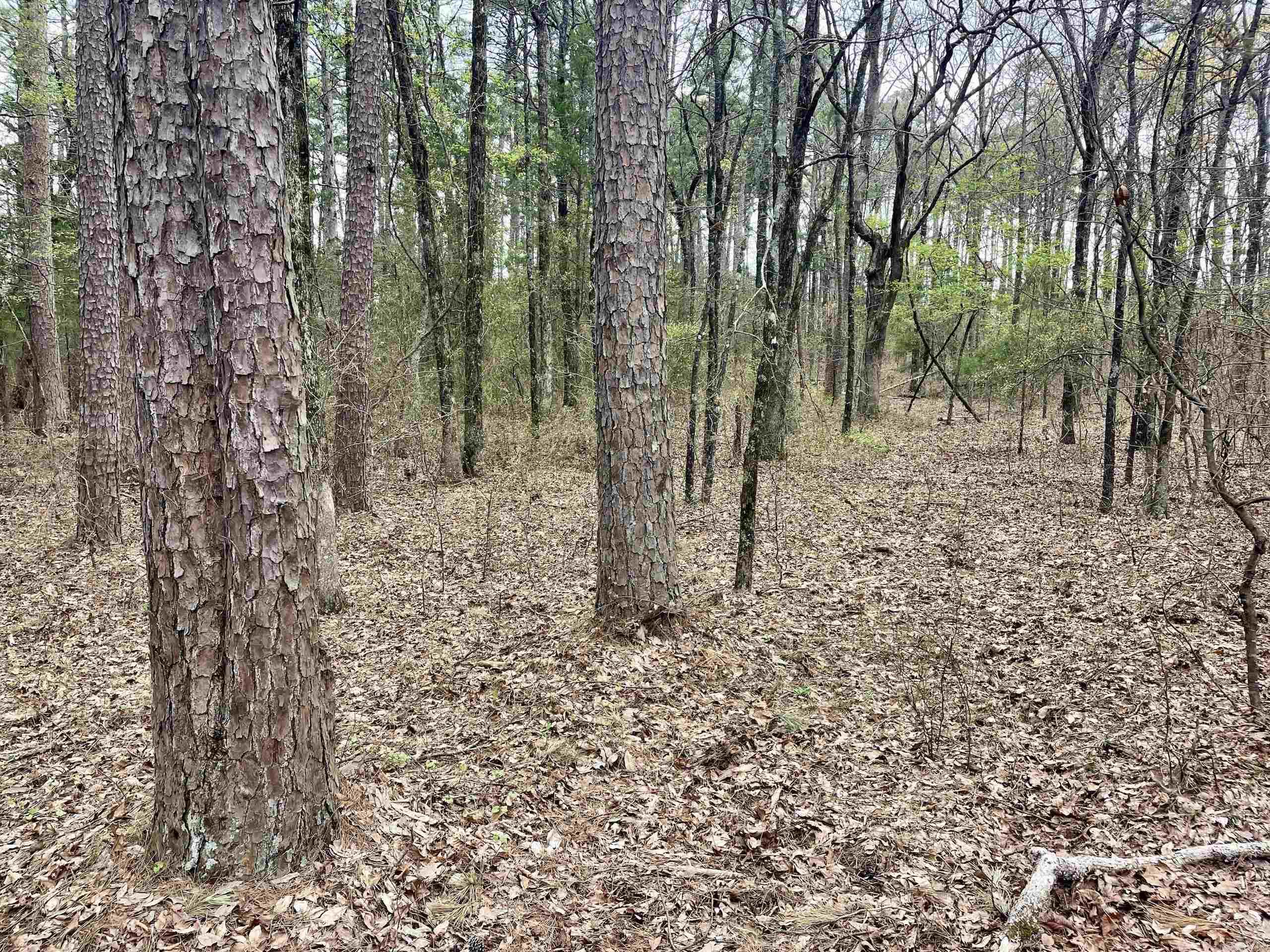 000 Bettis Mountain Road Property Photo 33
