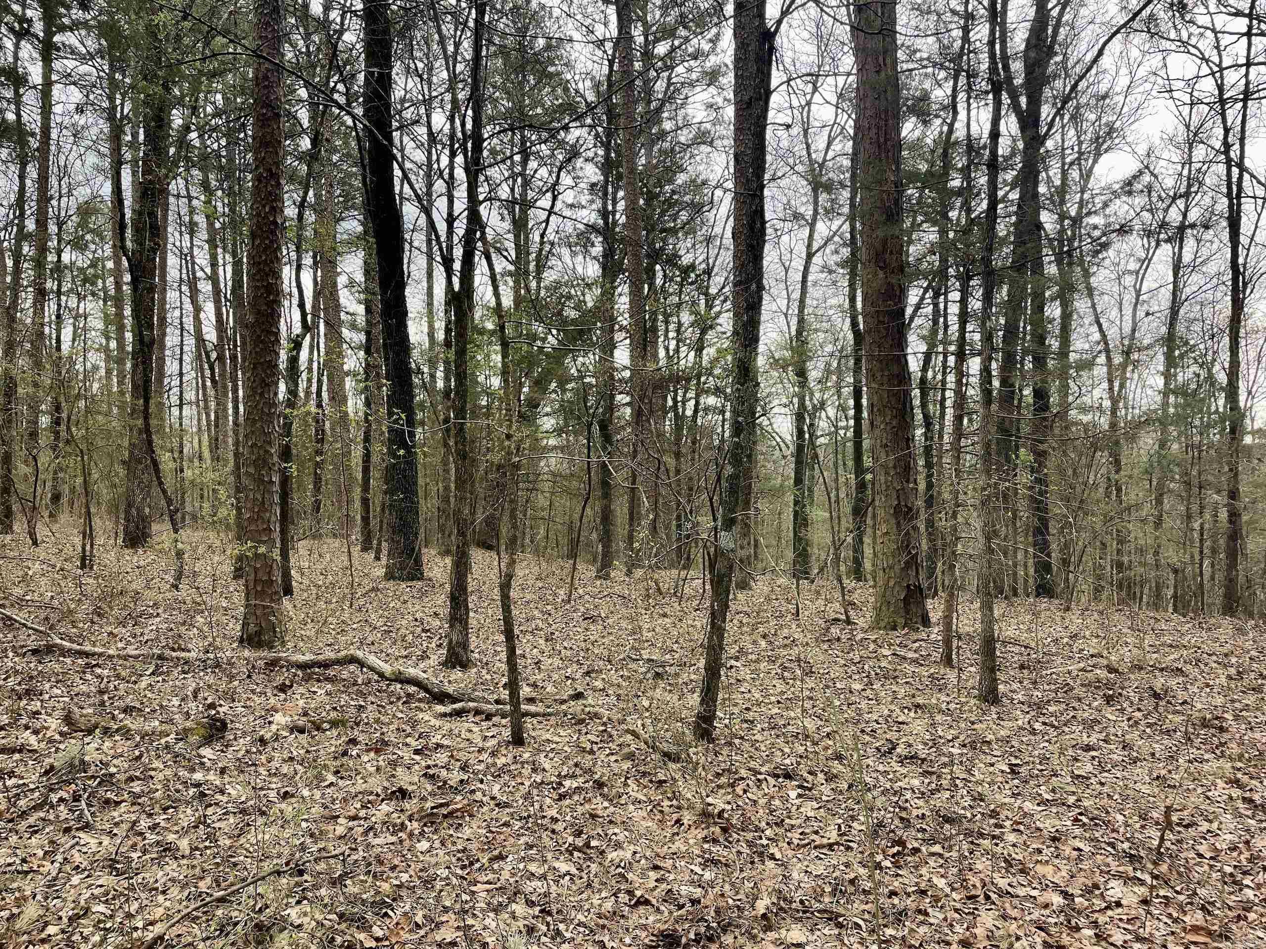 000 Bettis Mountain Road Property Photo 34