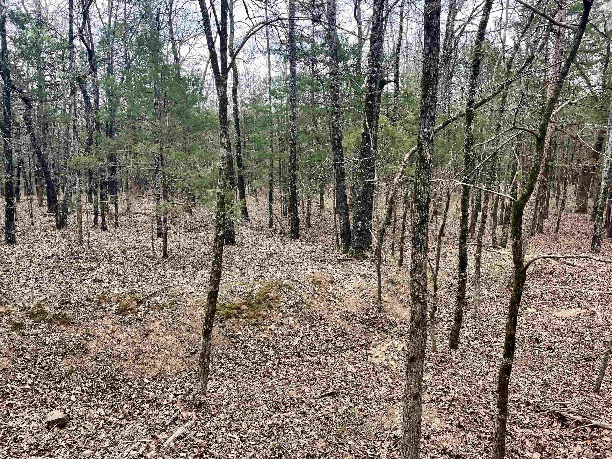 000 Bettis Mountain Road Property Photo 35