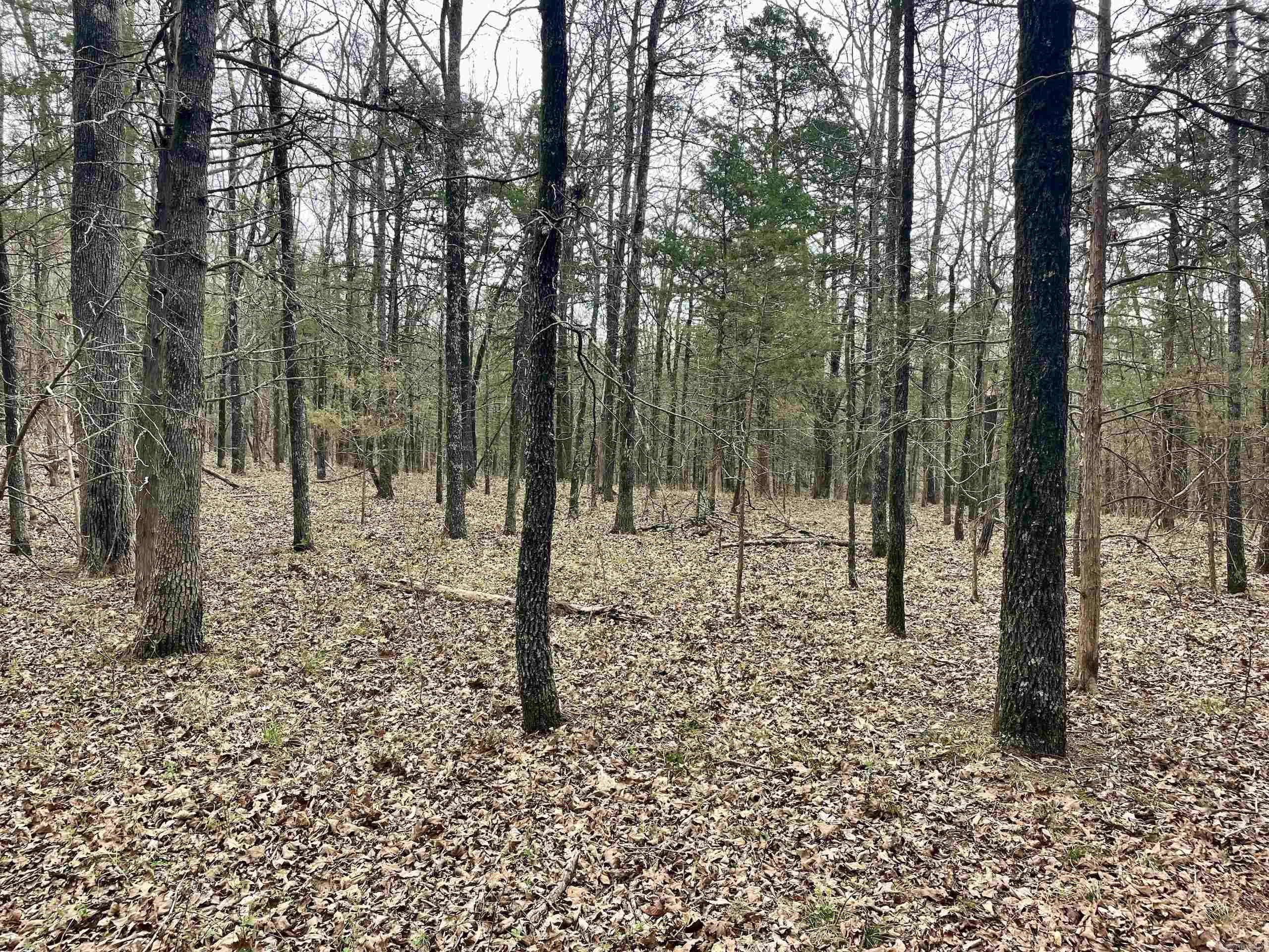 000 Bettis Mountain Road Property Photo 36