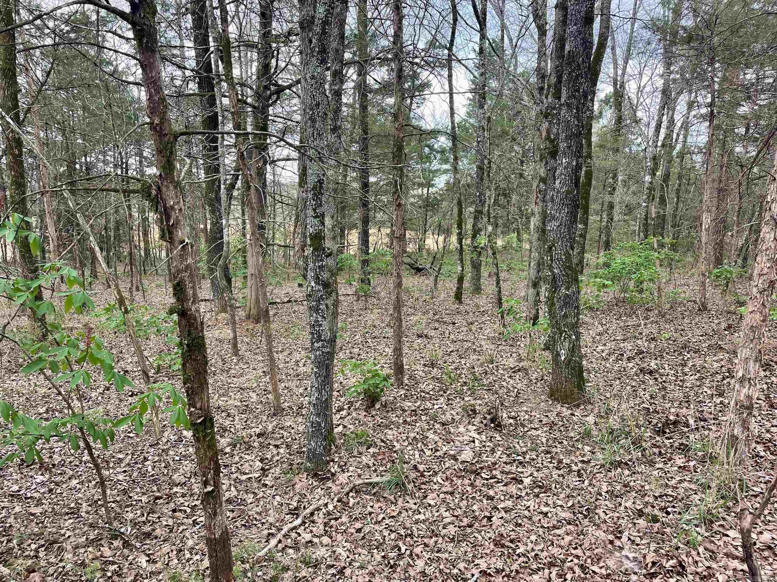 000 Bettis Mountain Road Property Photo 38