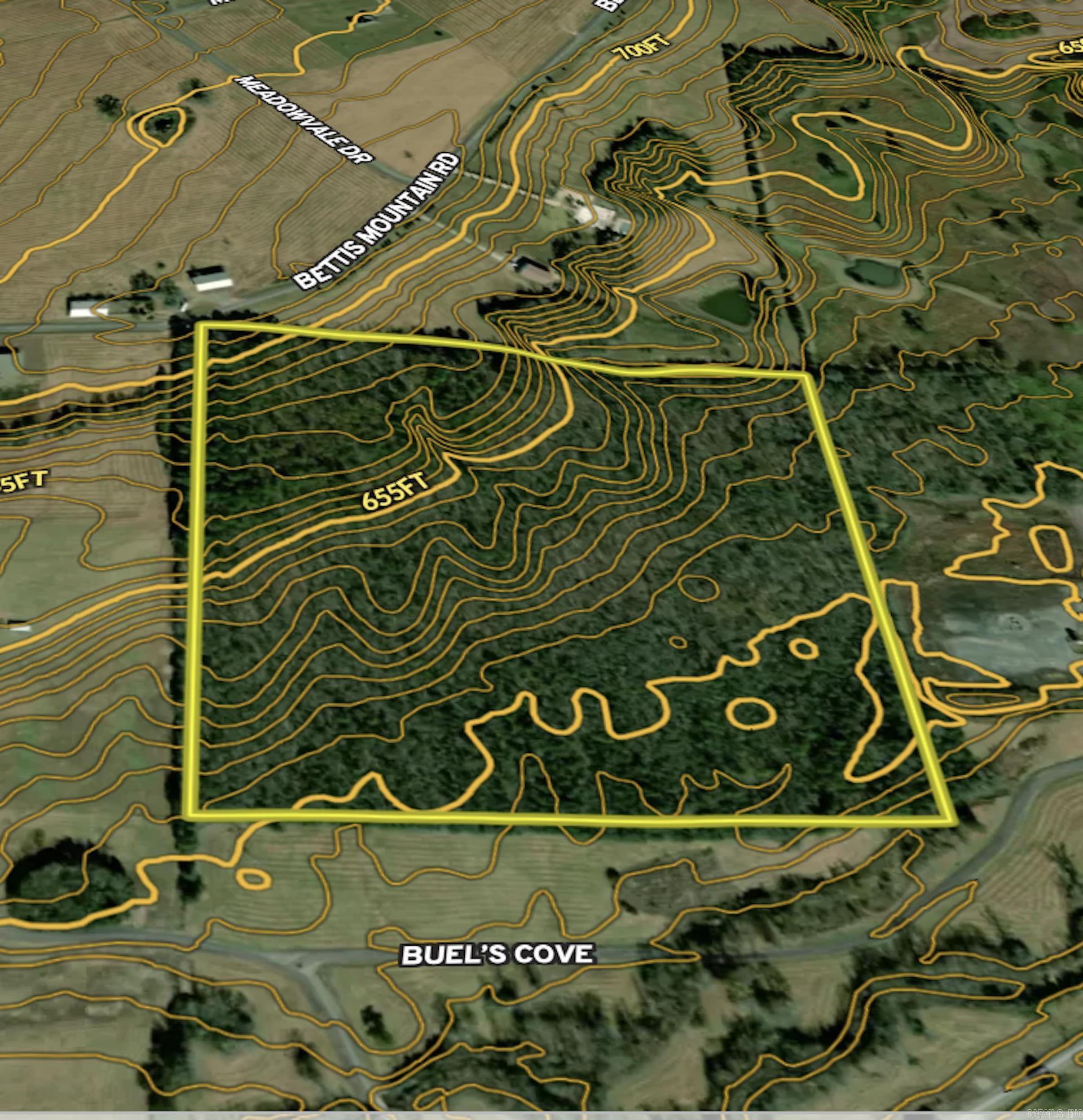 000 Bettis Mountain Road Property Photo 39