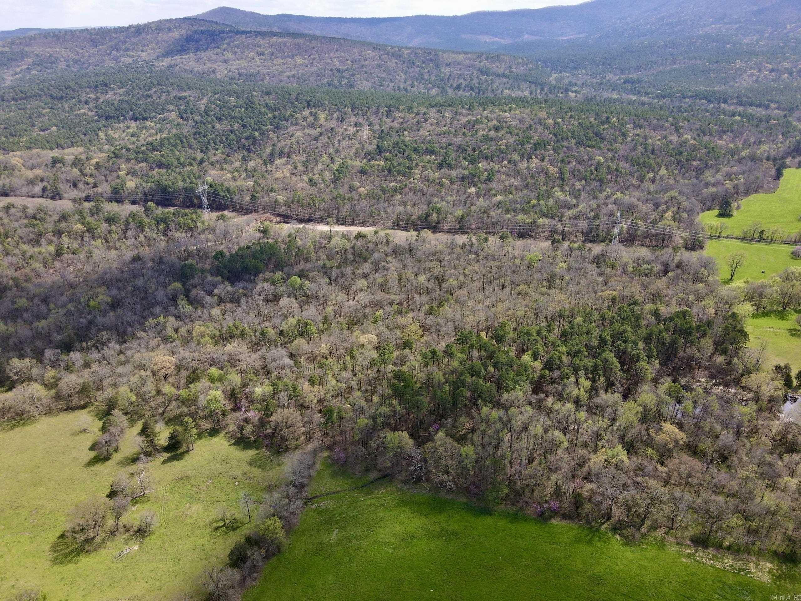 000 Pea Ridge Road Property Photo 3