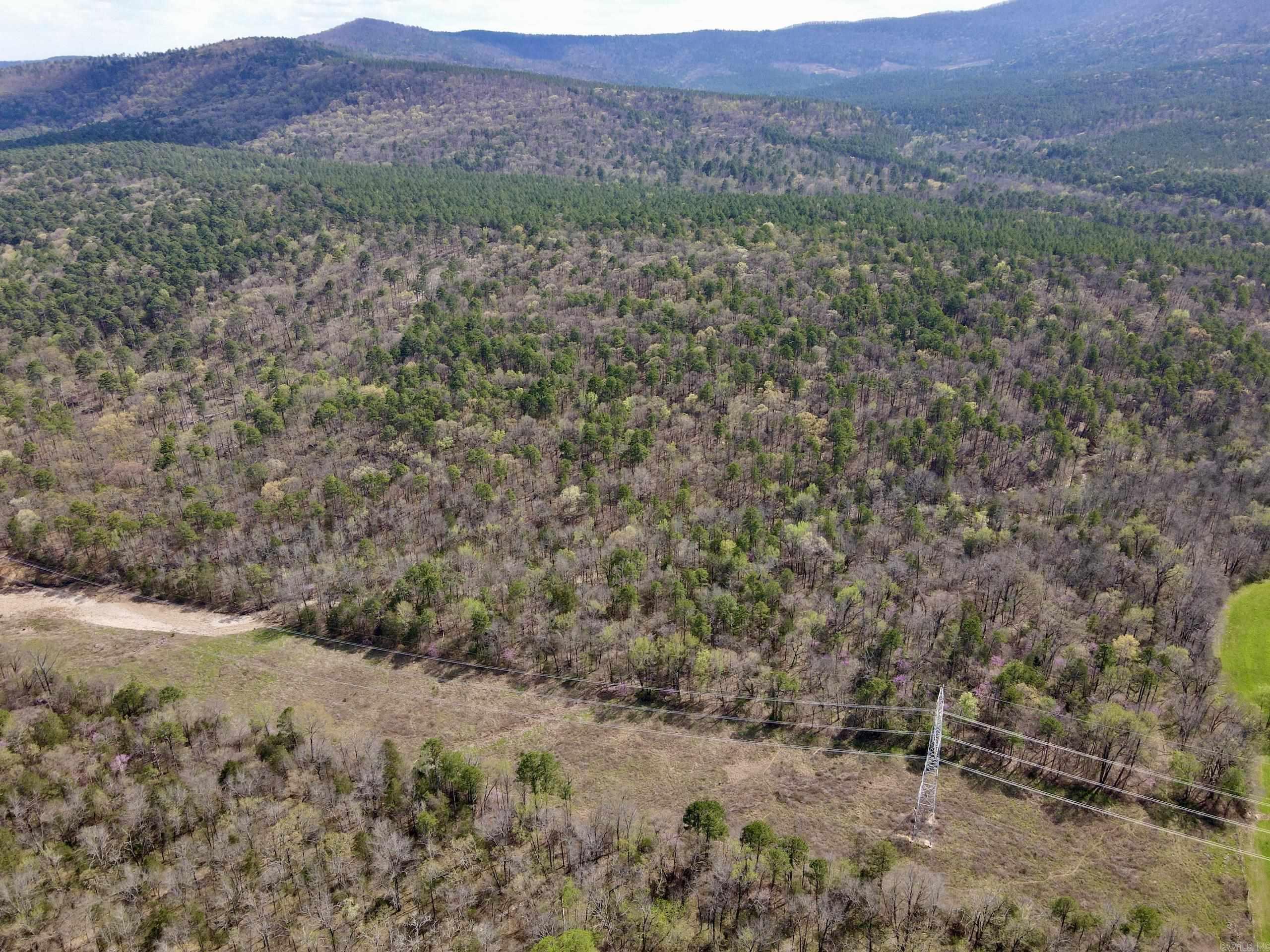 000 Pea Ridge Road Property Photo 4