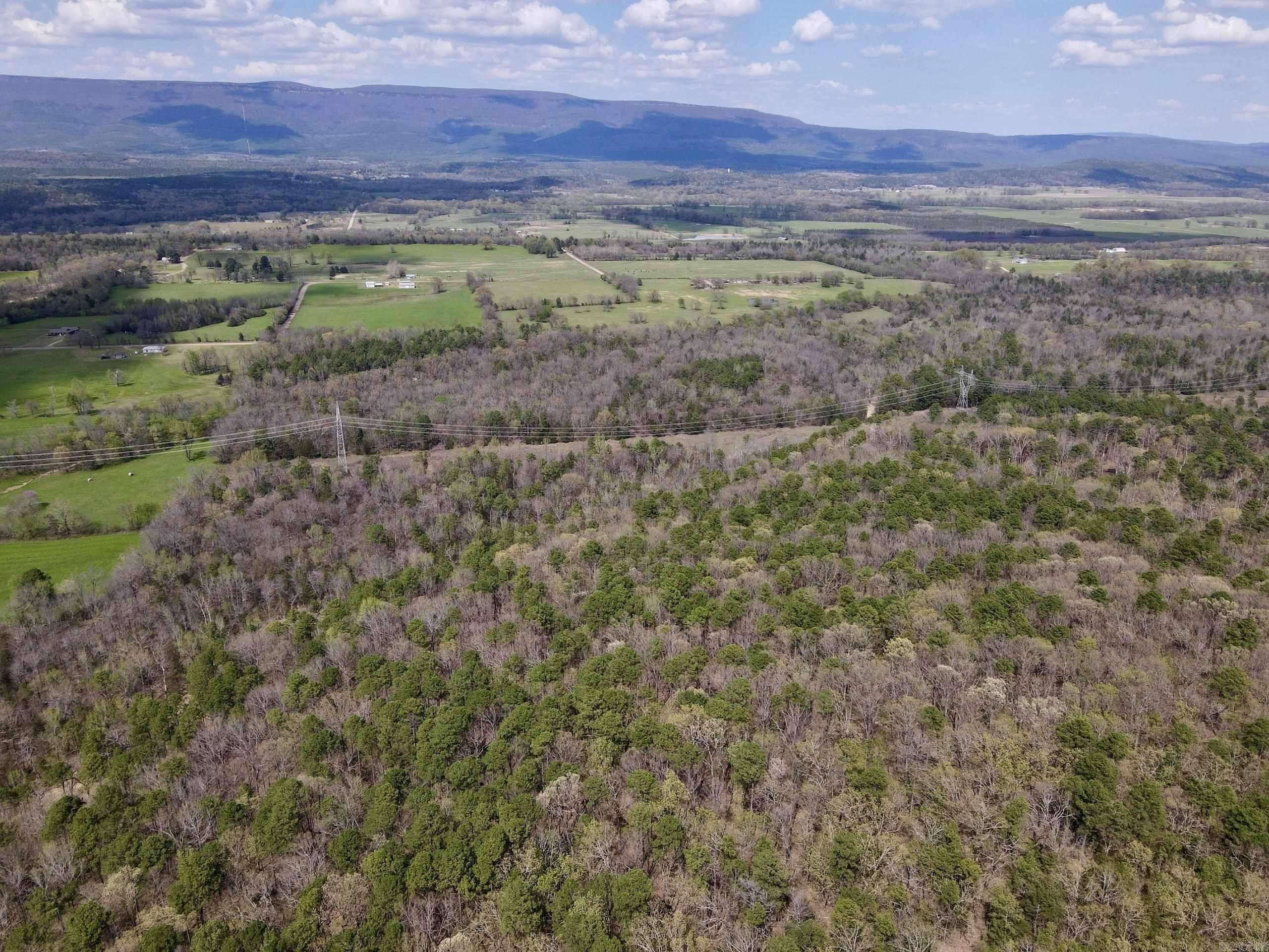 000 Pea Ridge Road Property Photo 6